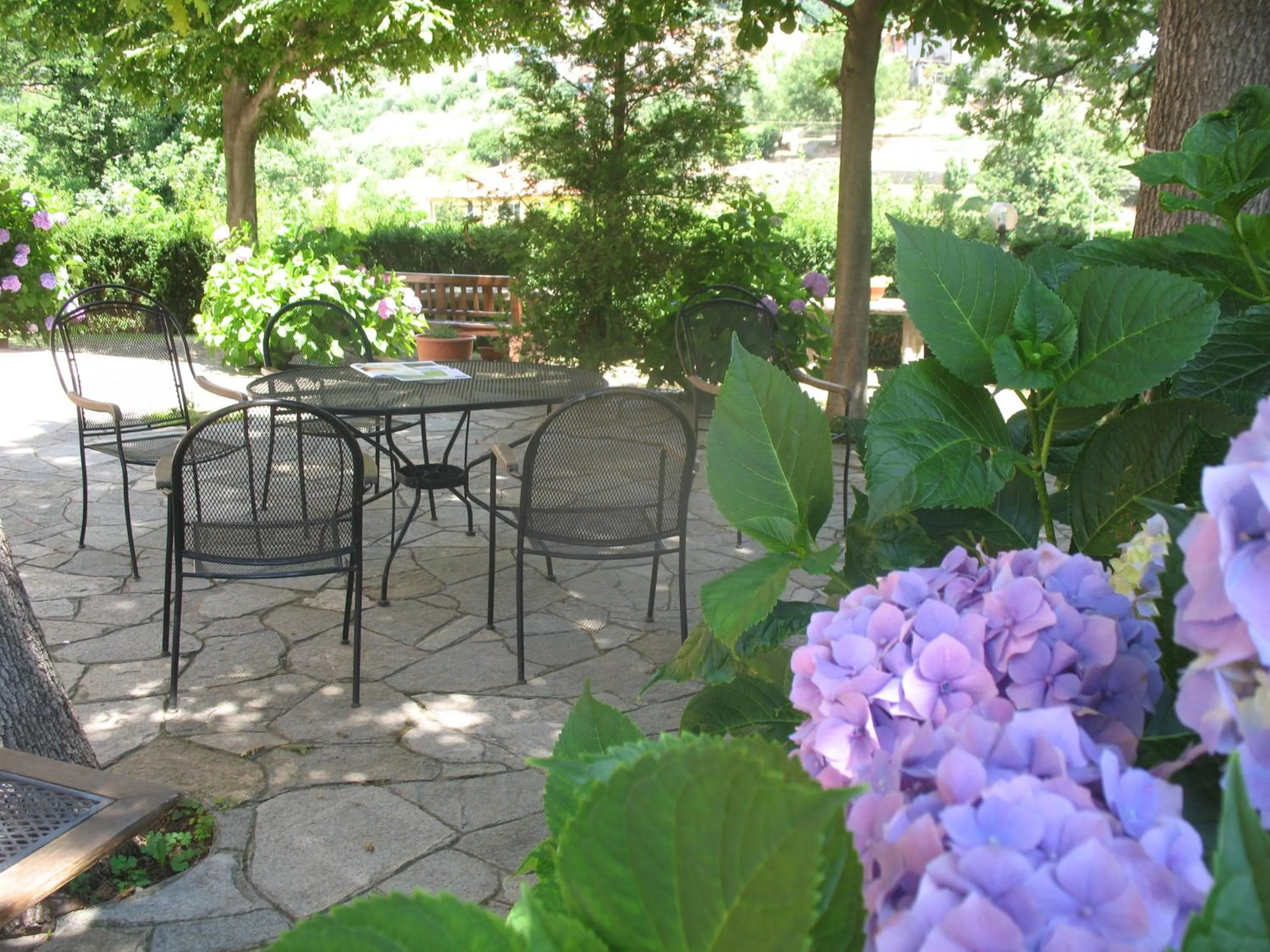 Patio in Hotel La Pineta