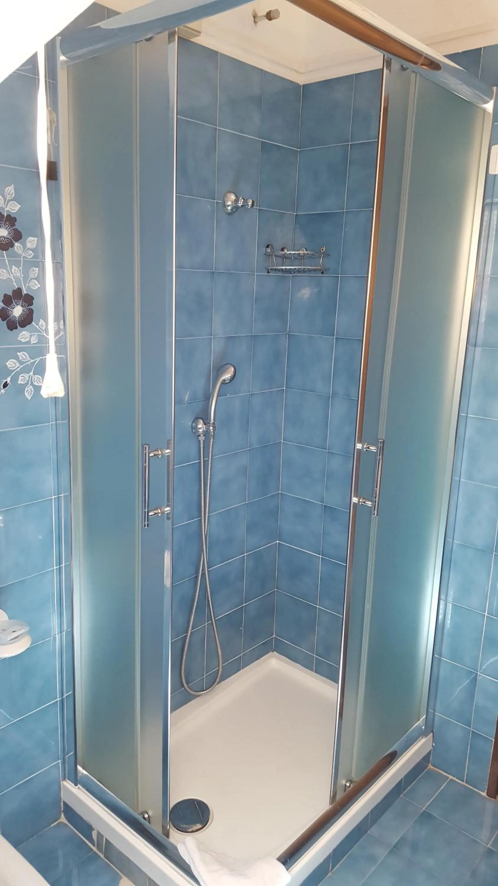 Shower in Hotel La Pineta