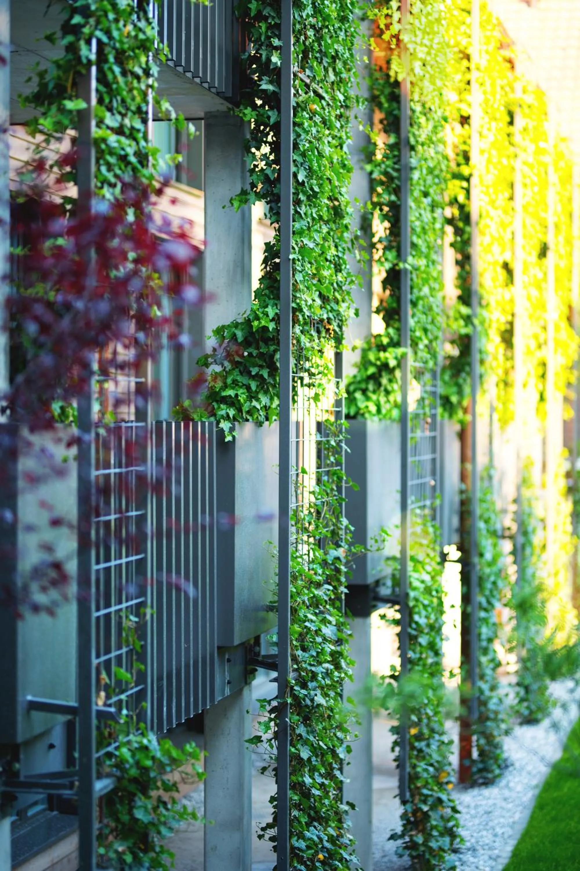 Property building in Hôtel la Croix Blanche