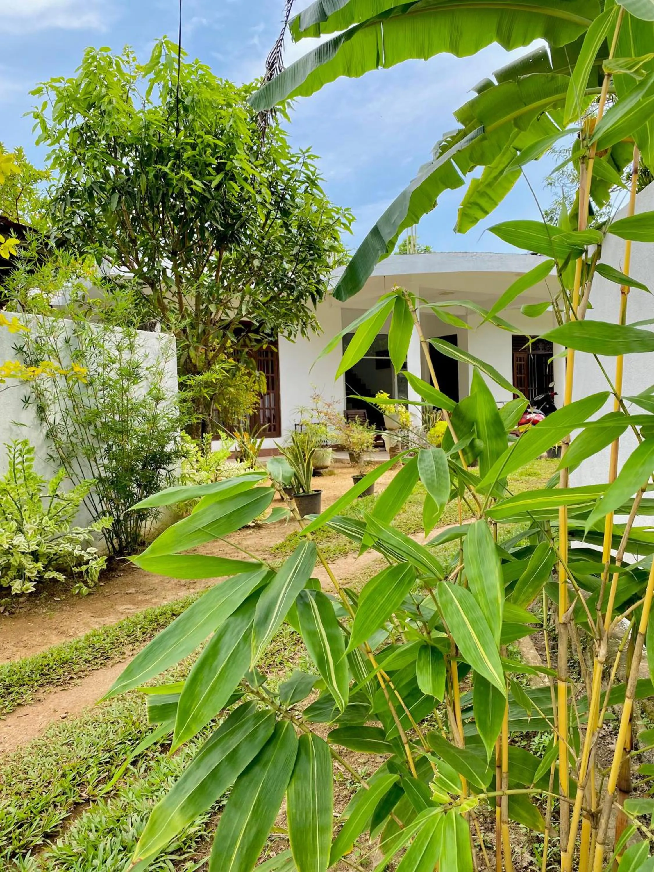 Garden in Sasmika Villa Surf and Yoga Hostel