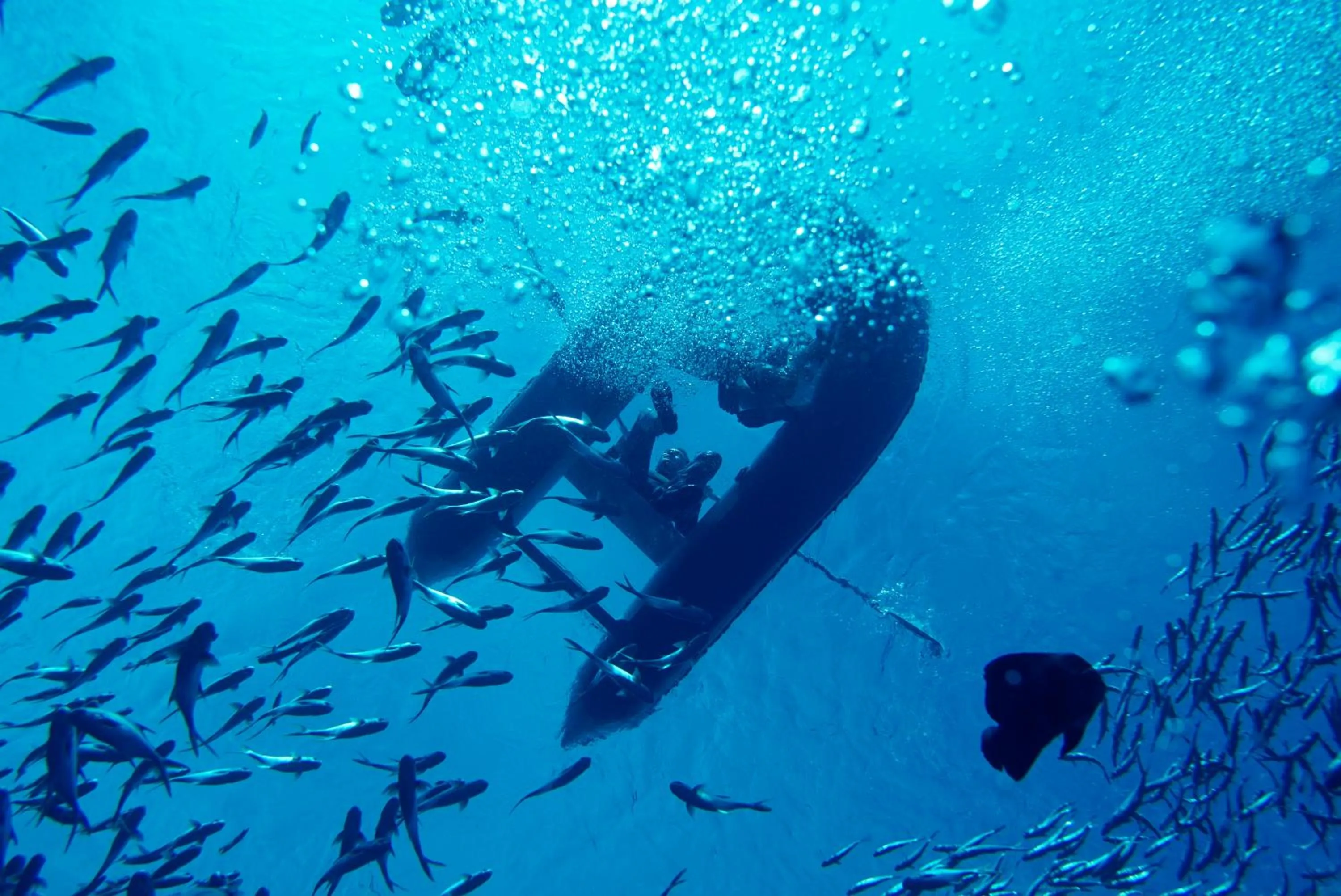 Activities in Atlantis Sanya