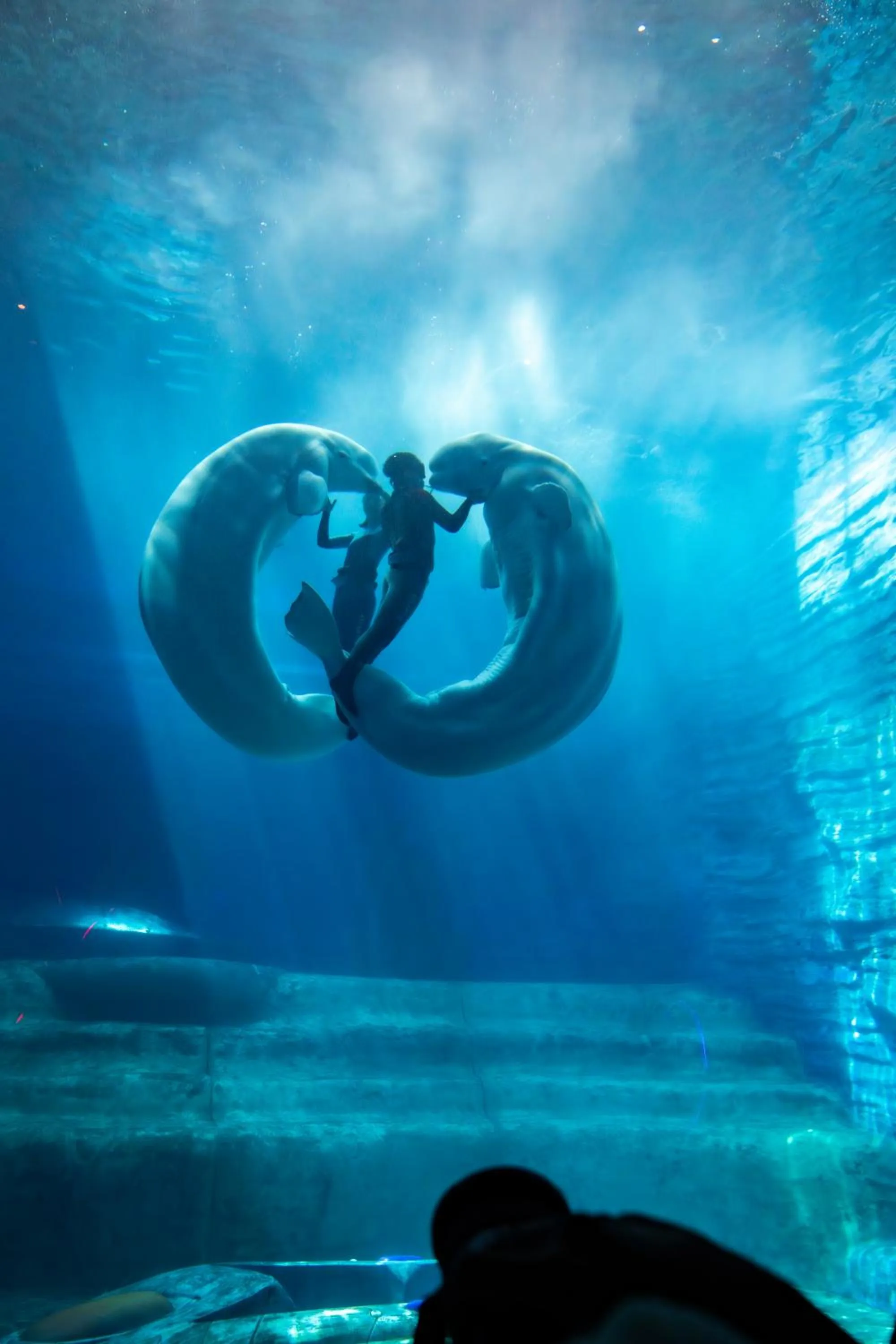 Entertainment in Atlantis Sanya