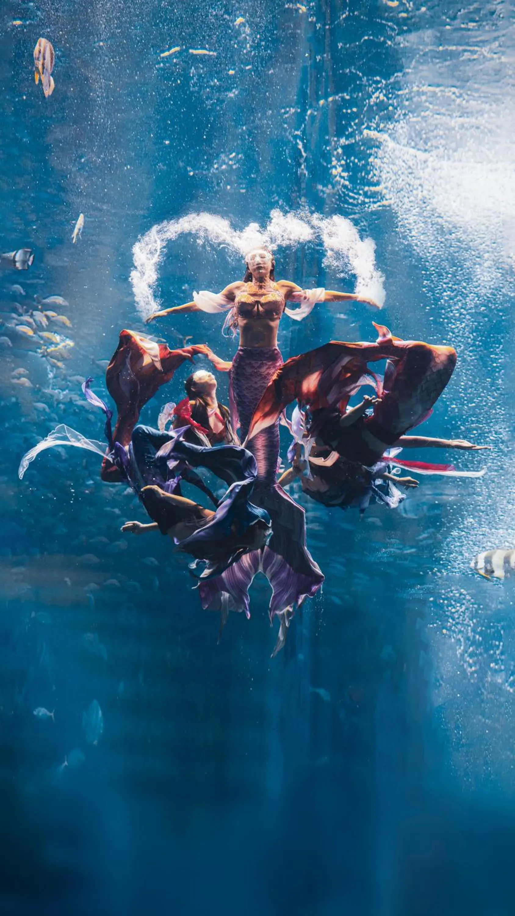 Entertainment in Atlantis Sanya