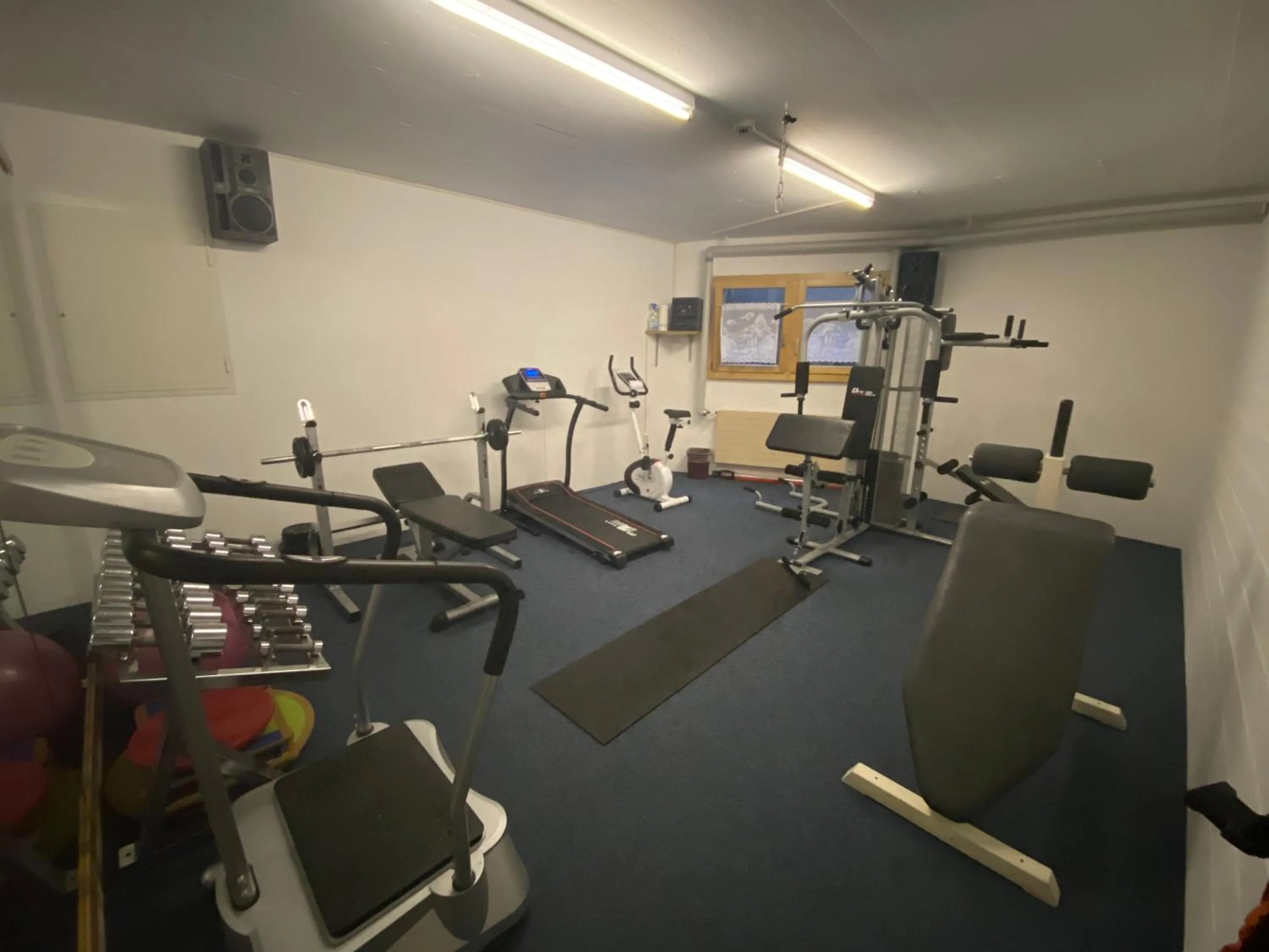 Fitness centre/facilities in Hotel Adonis