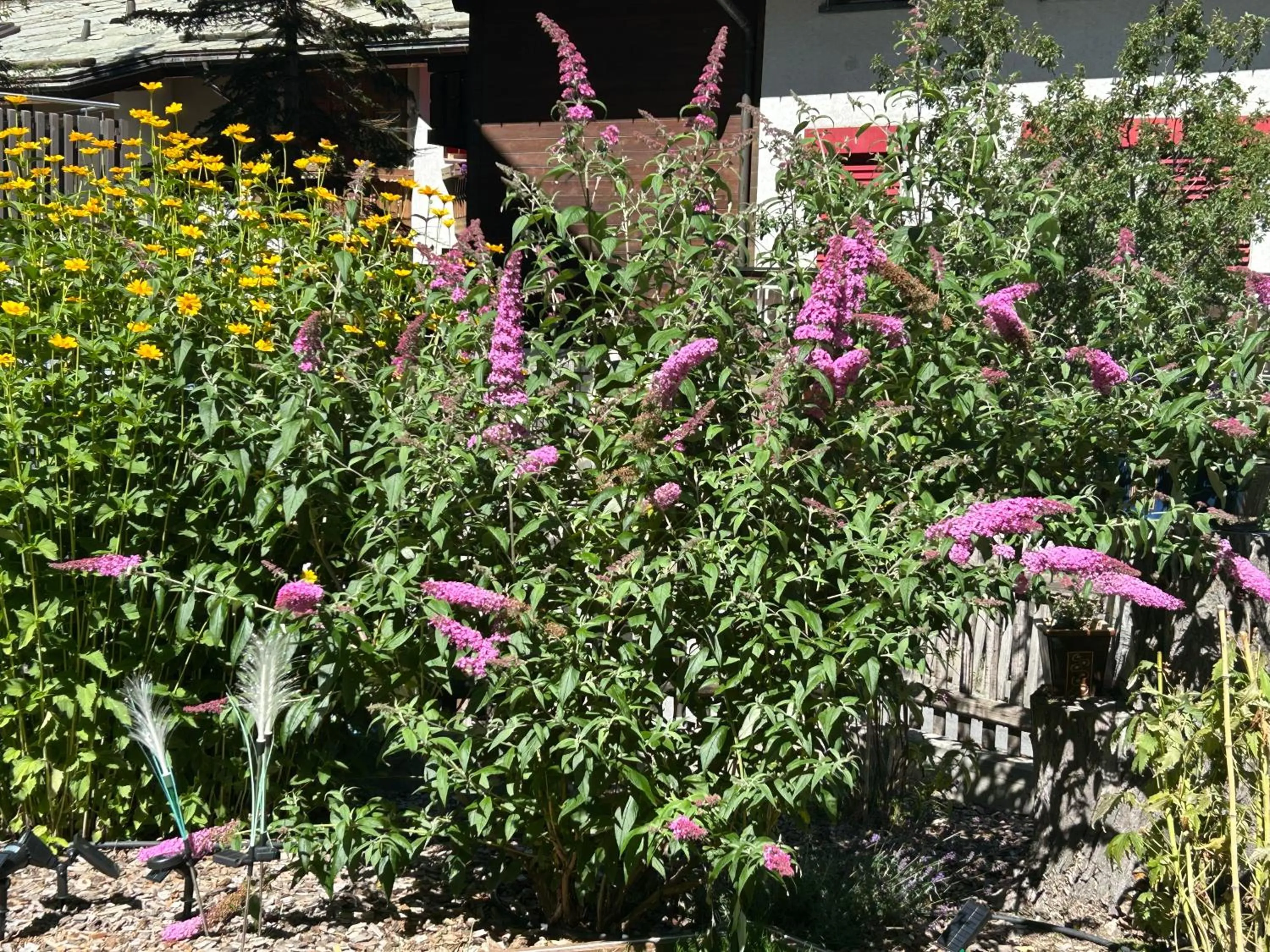 Property building in Hotel Adonis