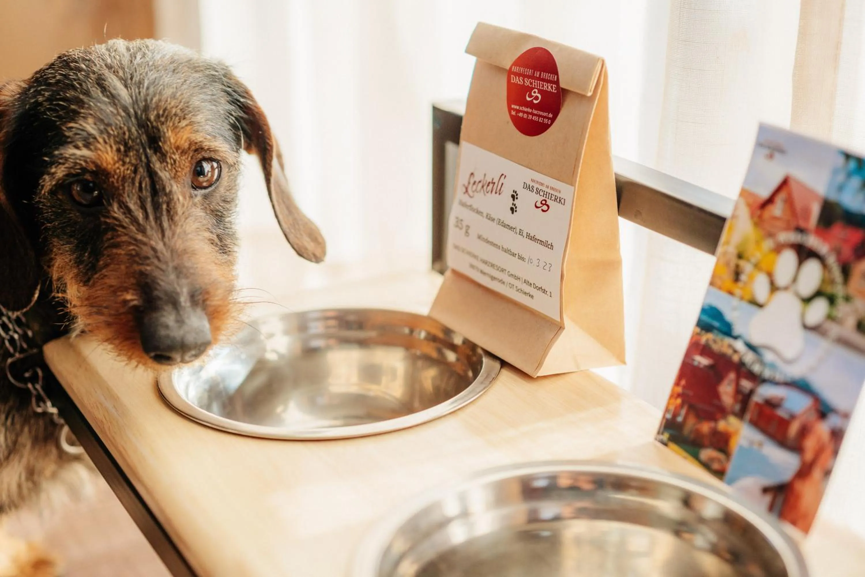 Pets in Das Schierke Harzresort