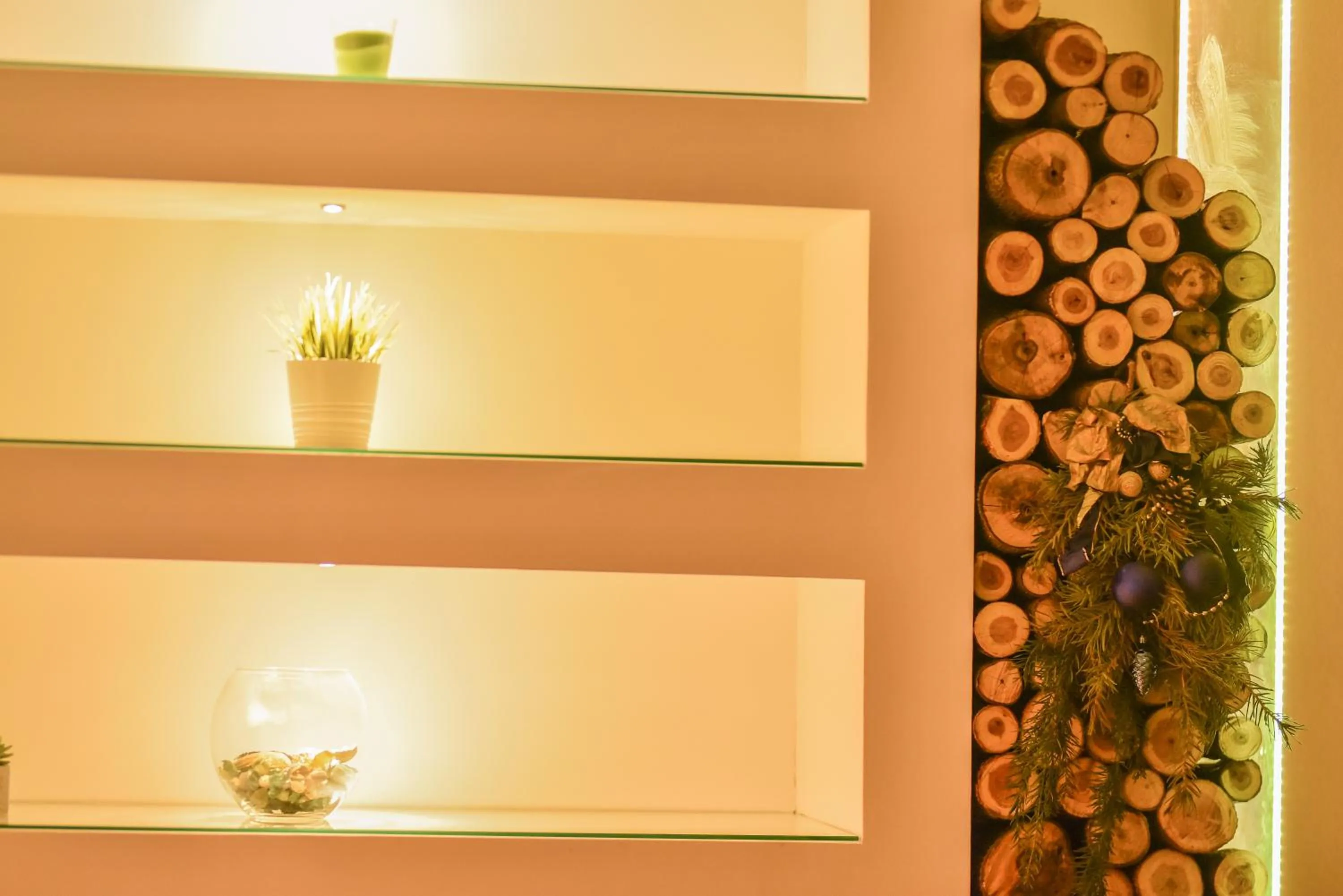 Chimney Modern Apartment Novi Sad