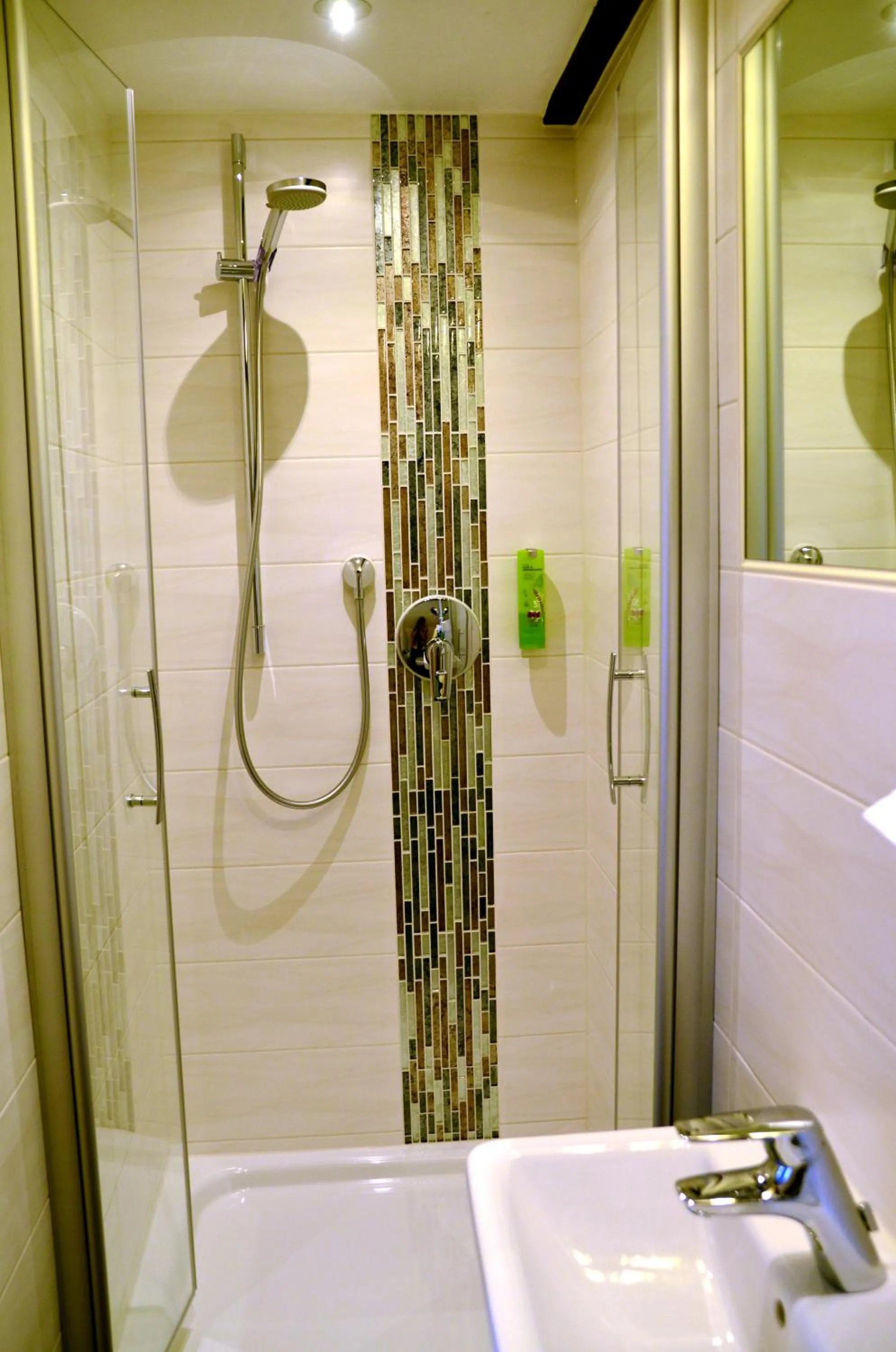 Shower in Gasthof Adler