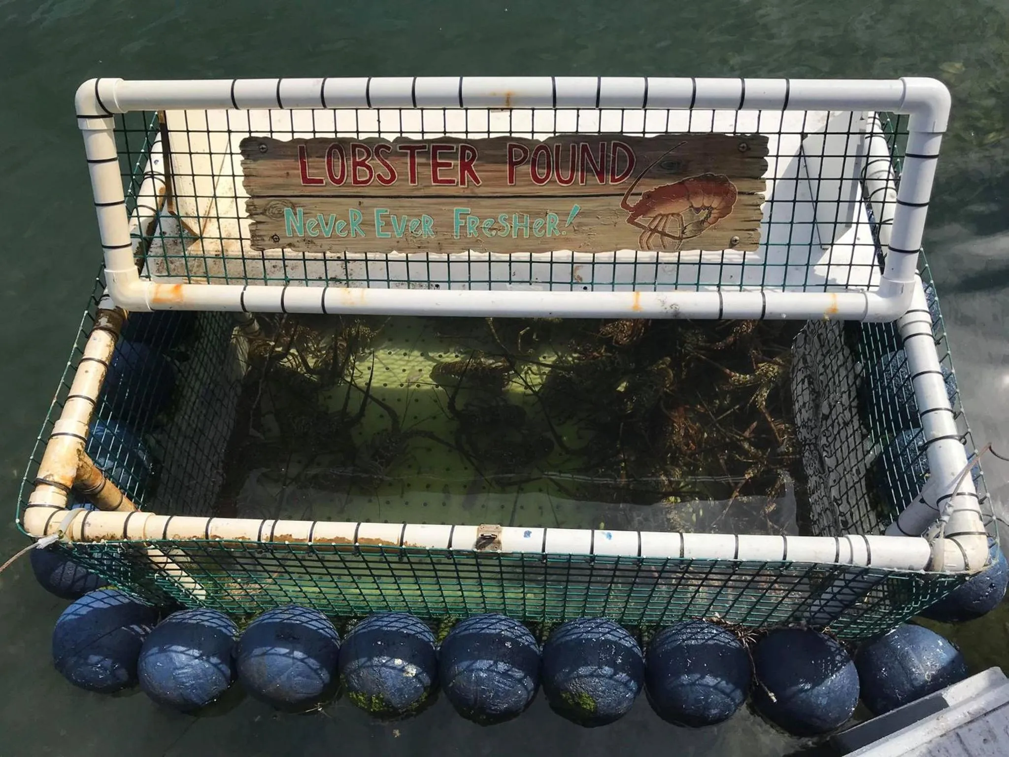 Meals in Ibis Bay Resort