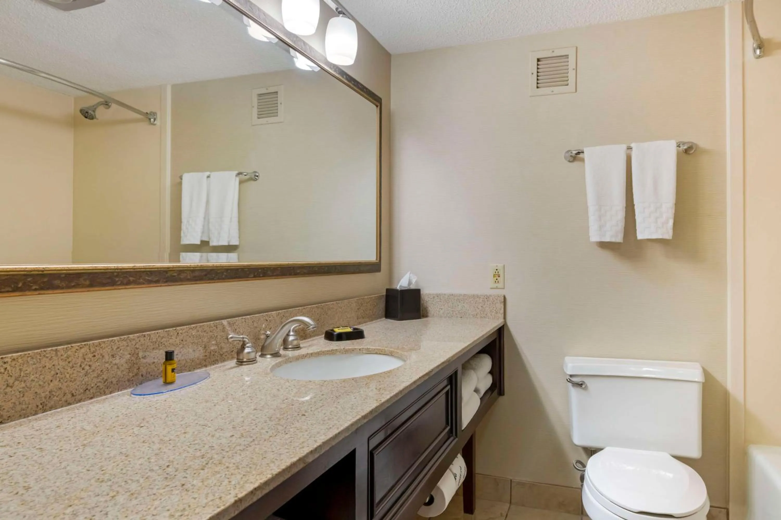 Bathroom in Best Western Plus St. Paul North/Shoreview