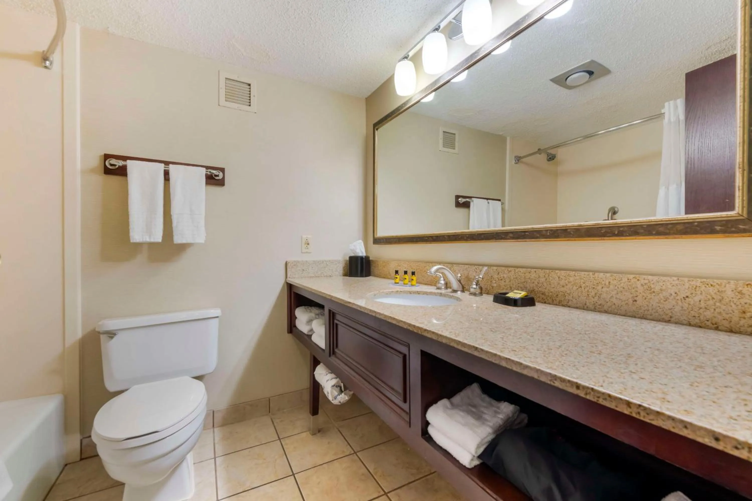 Bathroom in Best Western Plus St. Paul North/Shoreview