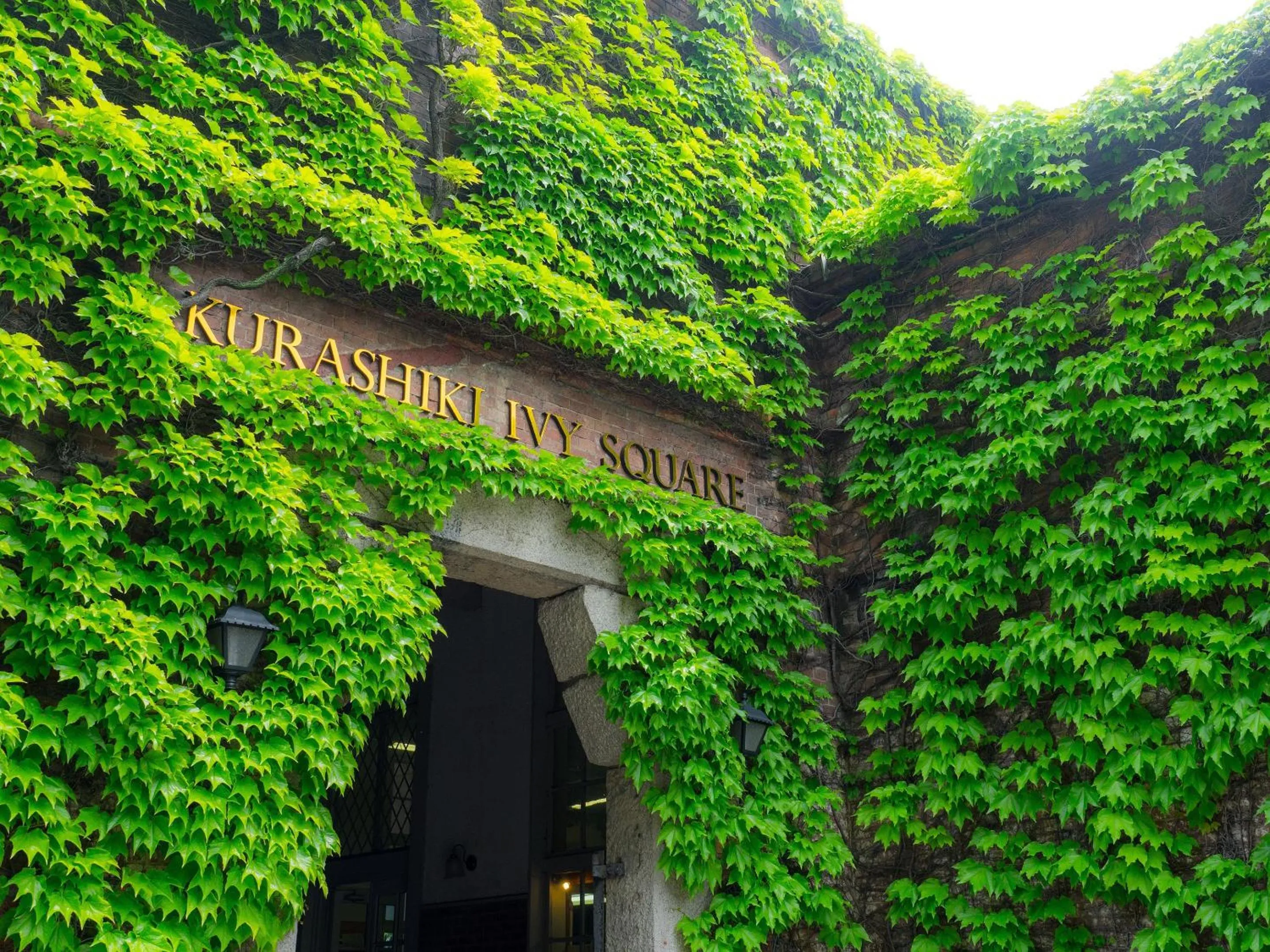Property building in Kurashiki Ivy Square