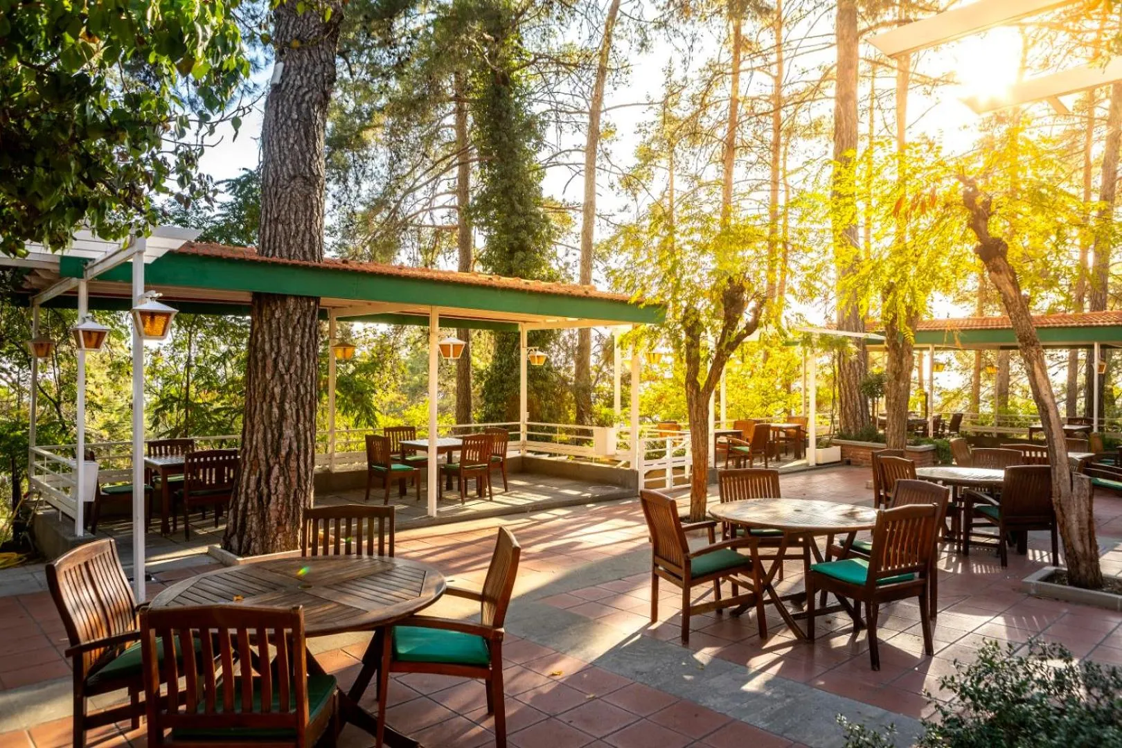 Patio in Forest Park Hotel