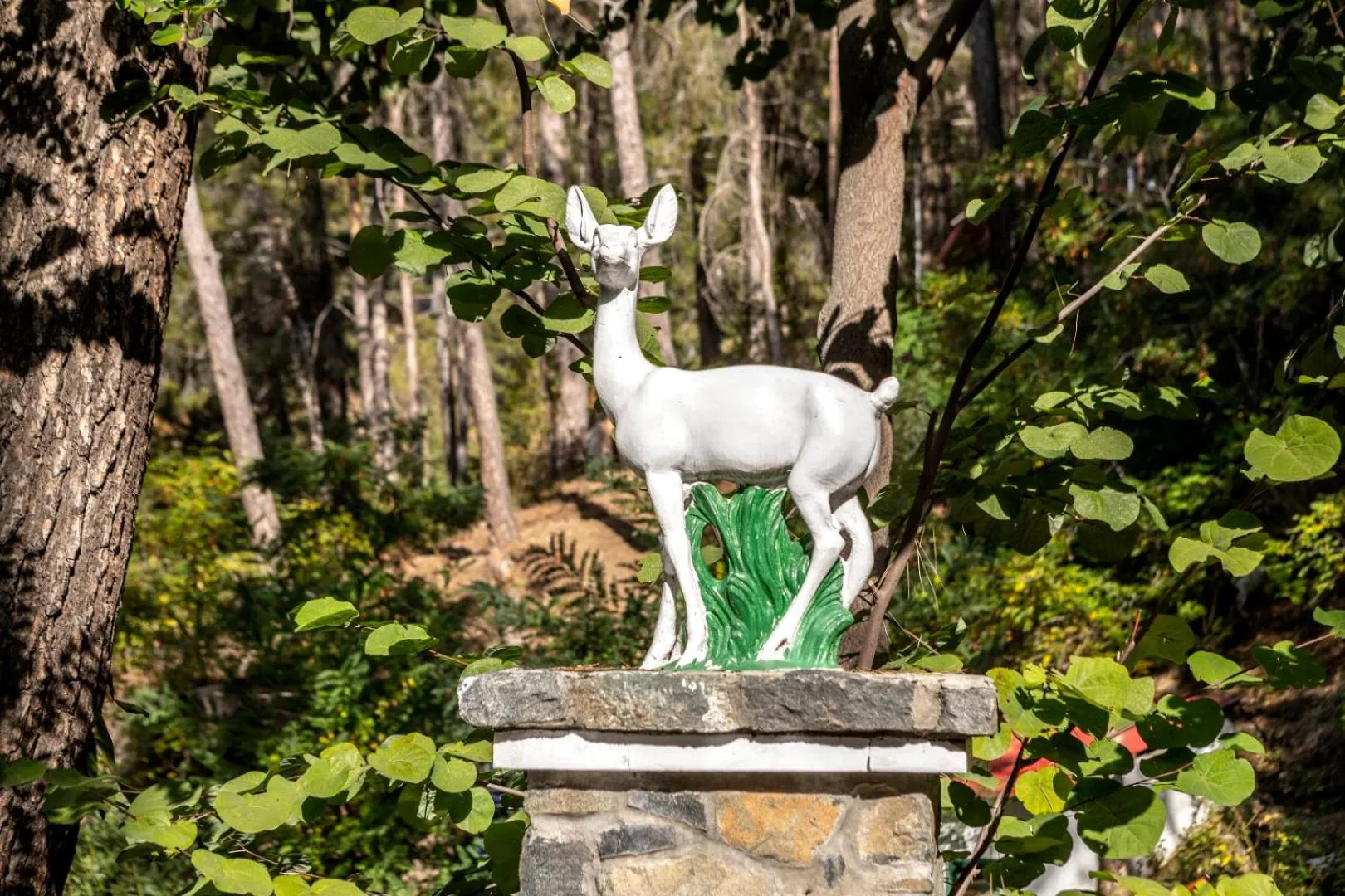 Facade/entrance in Forest Park Hotel