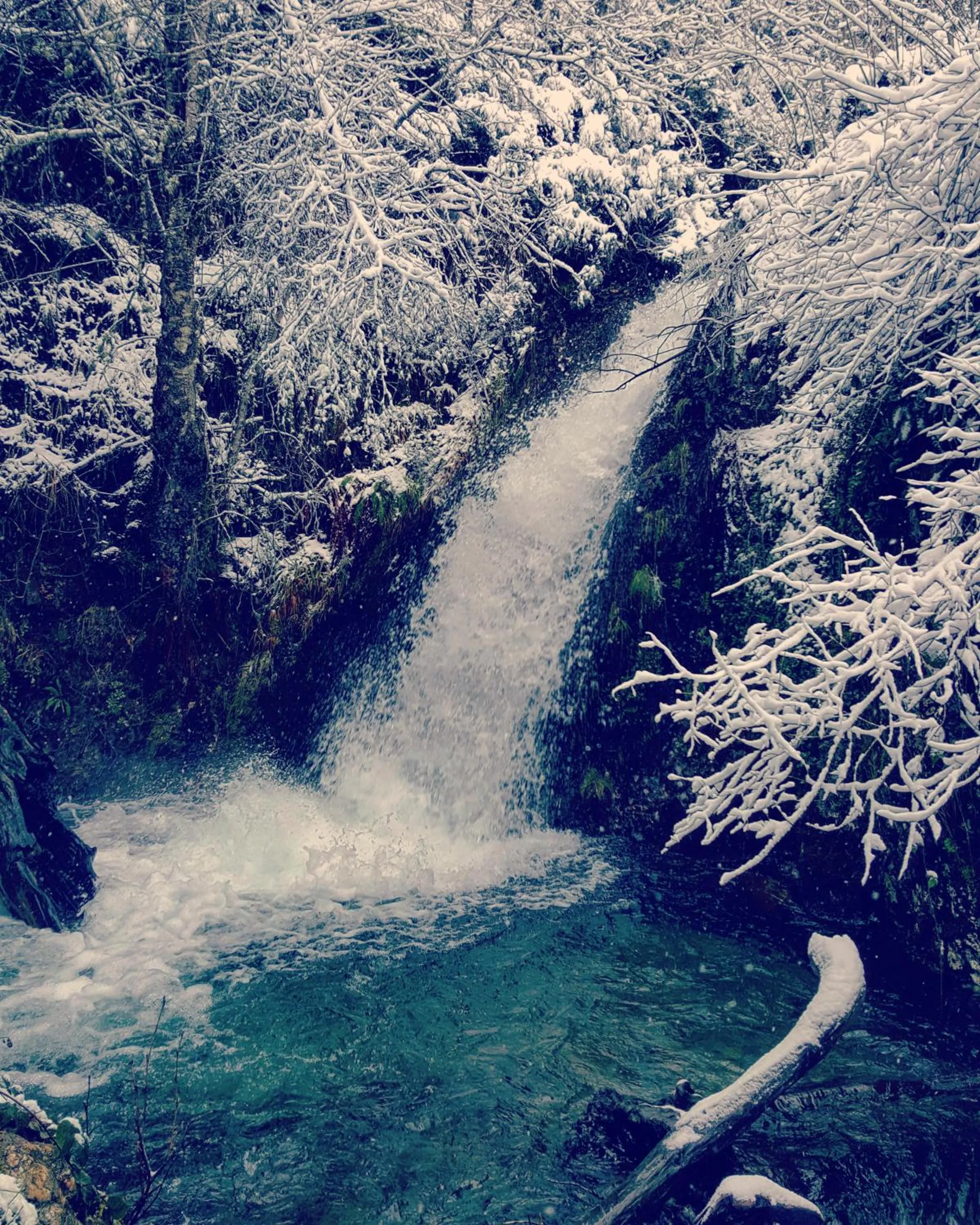 Off site in Hotel Presa