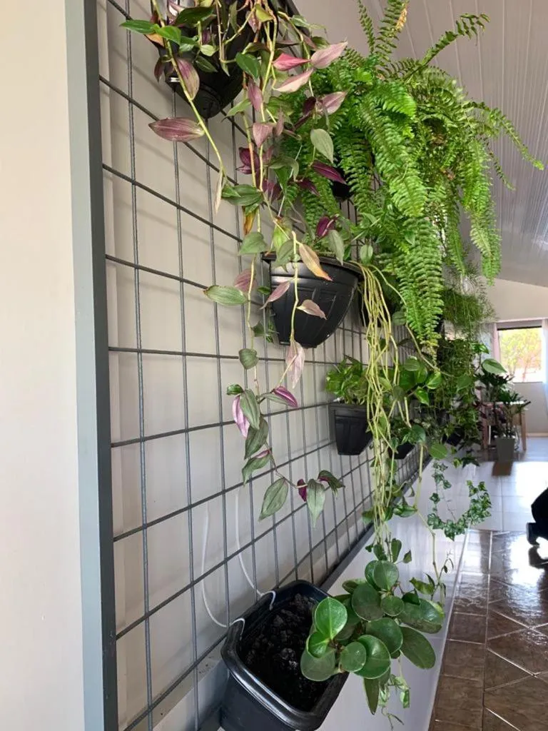 Lobby or reception in Hotel D'Nápoles