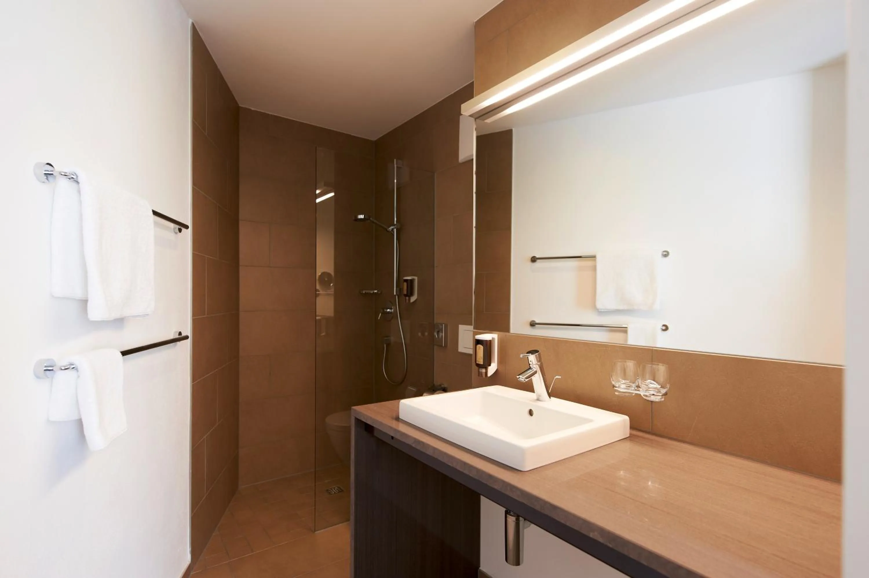 Bathroom in Sternen Hotel Wolfurt