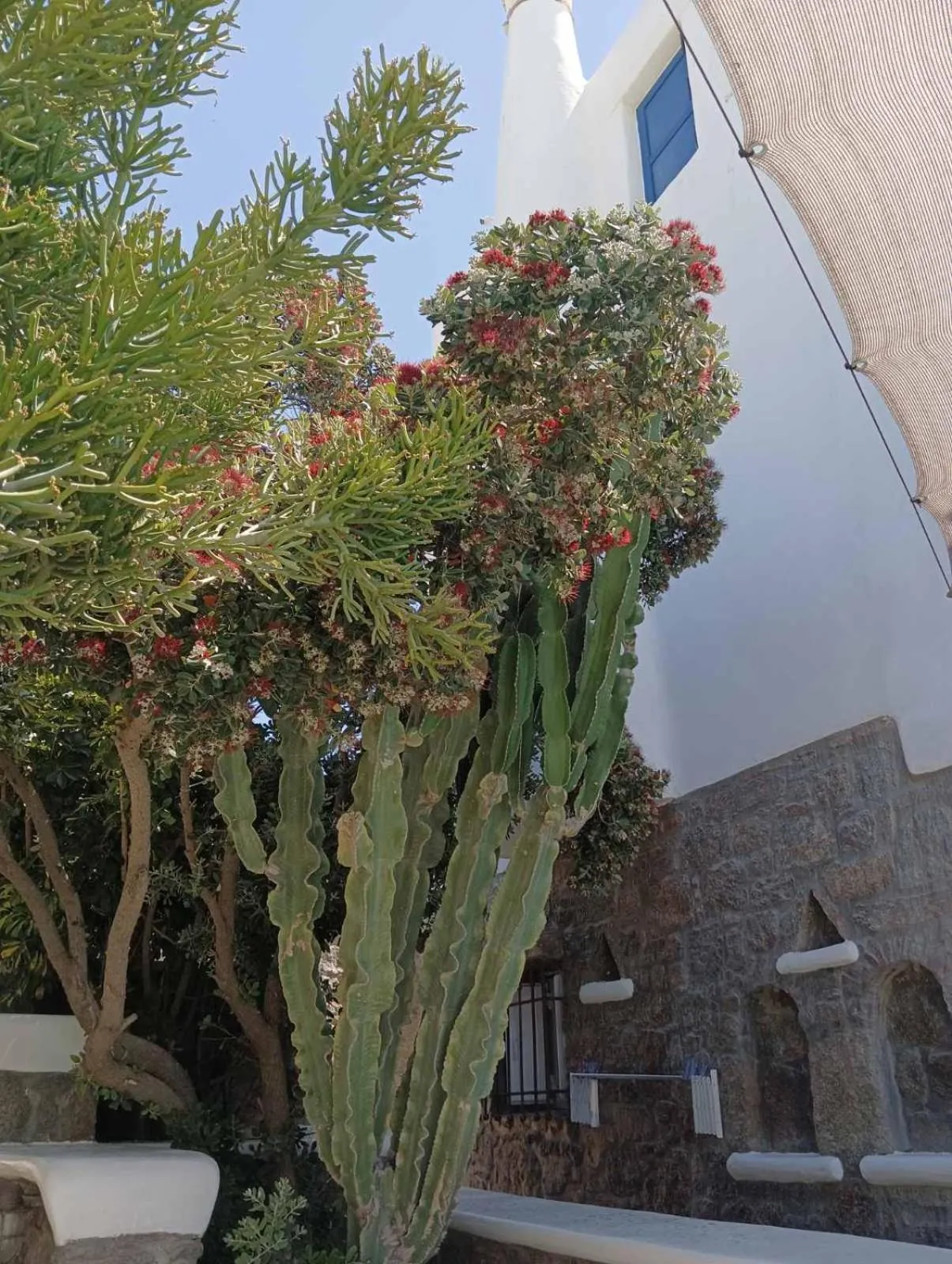 Mykonian Iros Suites & Villas