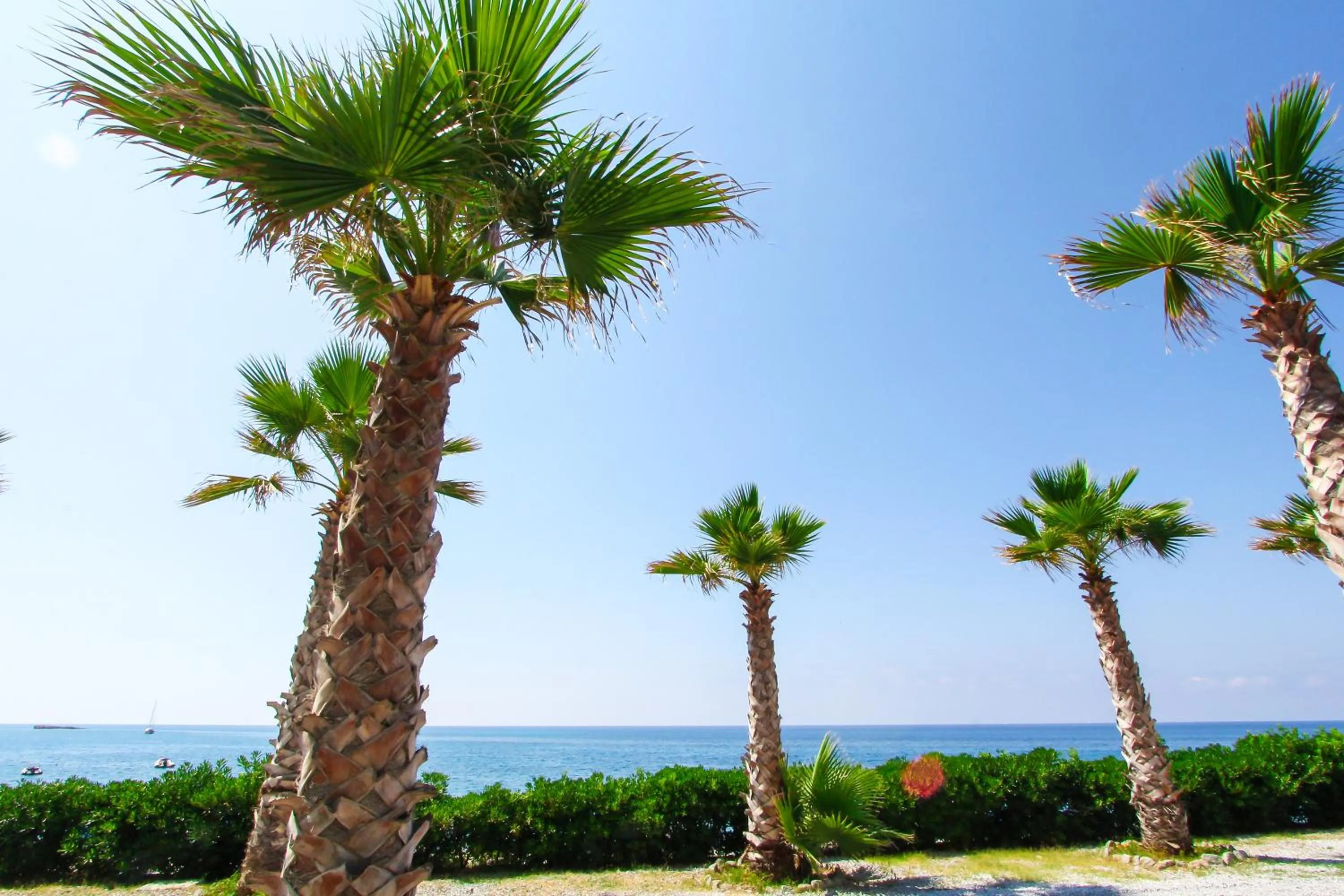 Beach in Villaggio Hotel Lido San Giuseppe
