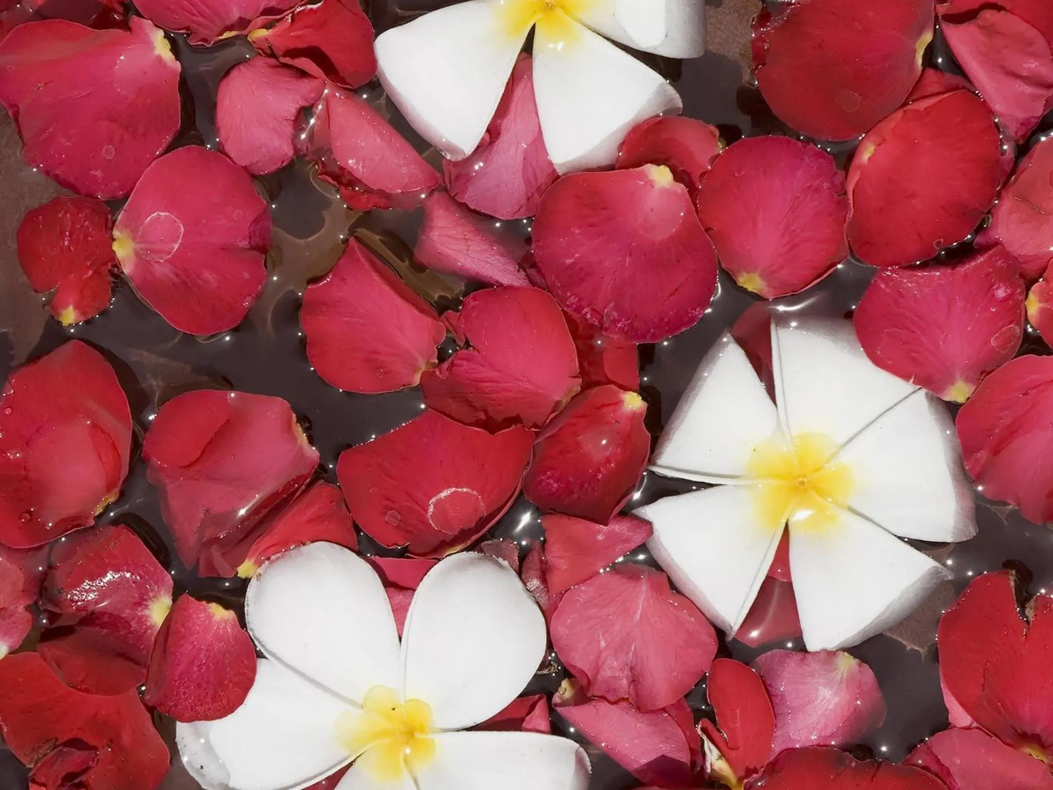 Spa and wellness centre/facilities in Novotel Bali Nusa Dua