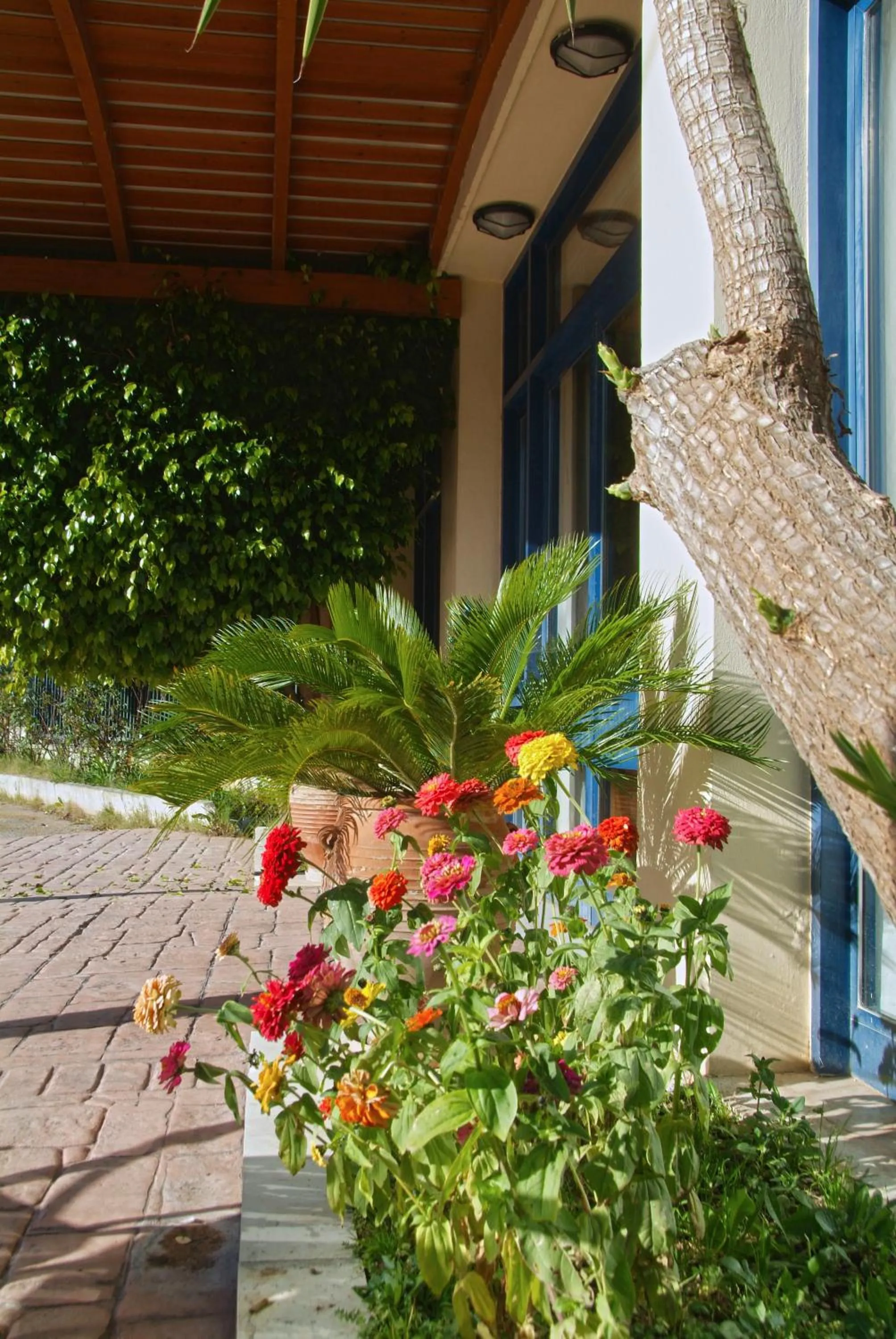 Facade/entrance in Hotel Kalafati