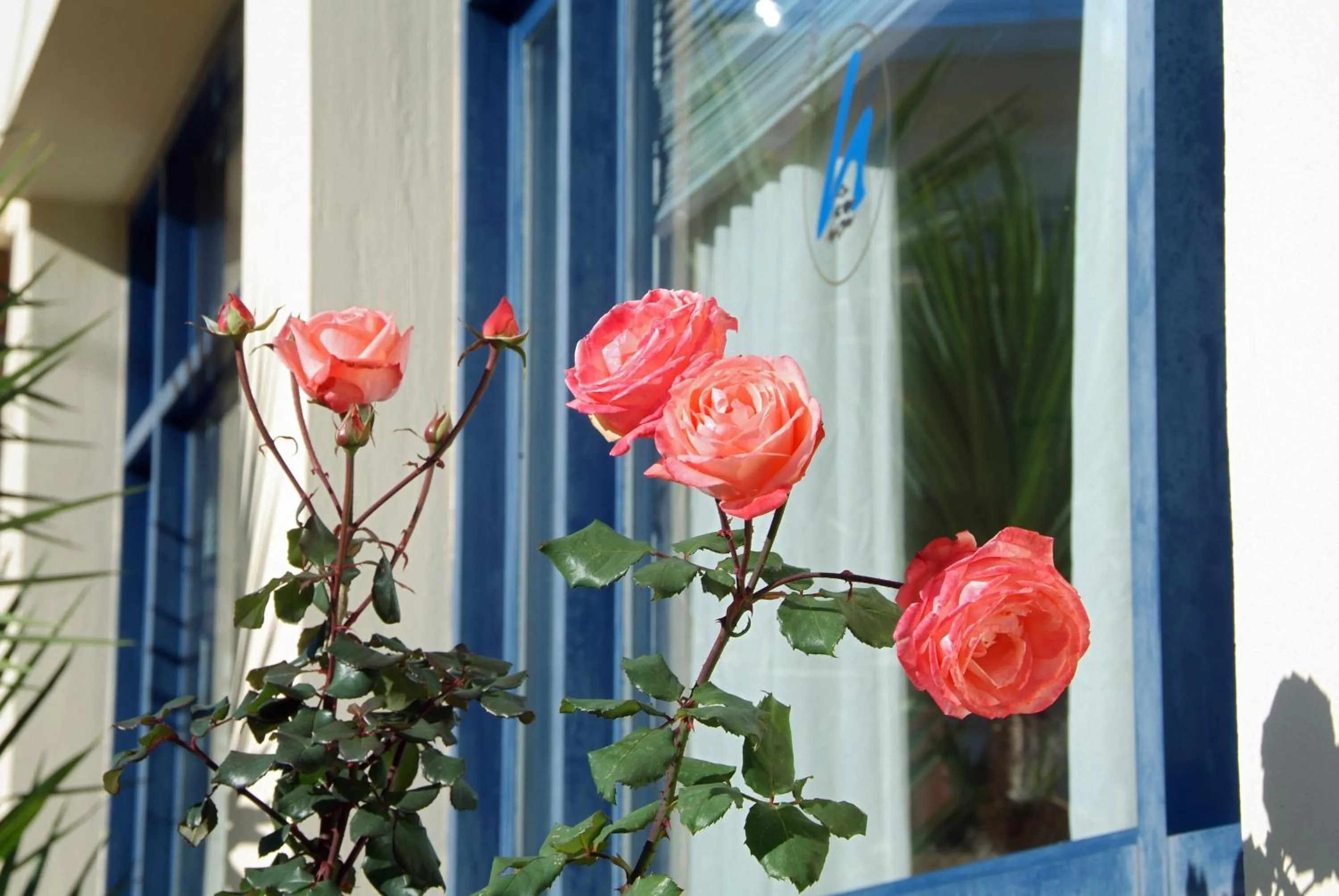 Day in Hotel Kalafati