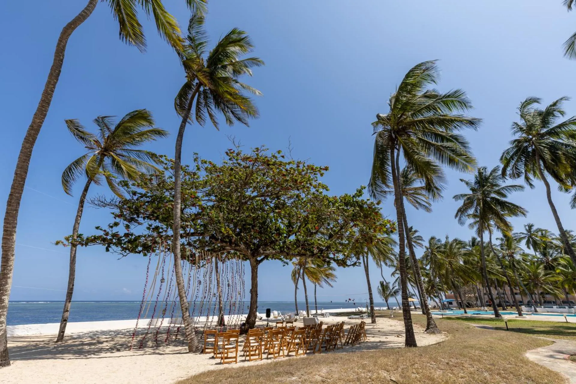 Beach in Sun N Sand Beach Resort