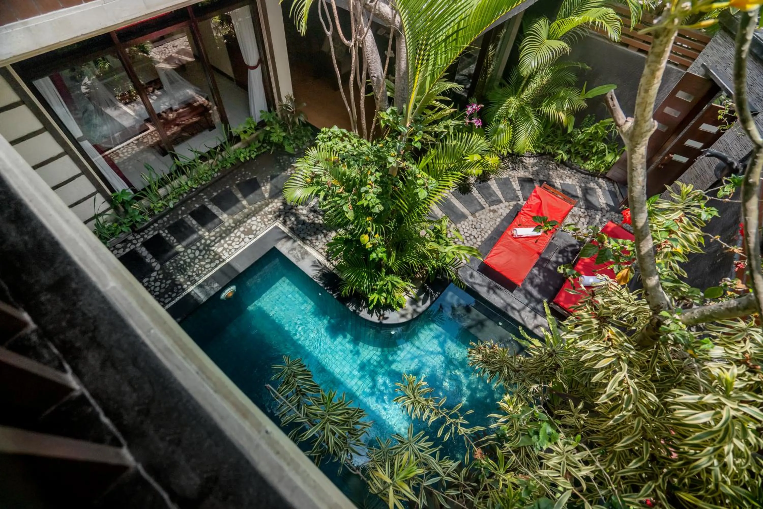 Garden in The Bali Dream Villa Seminyak