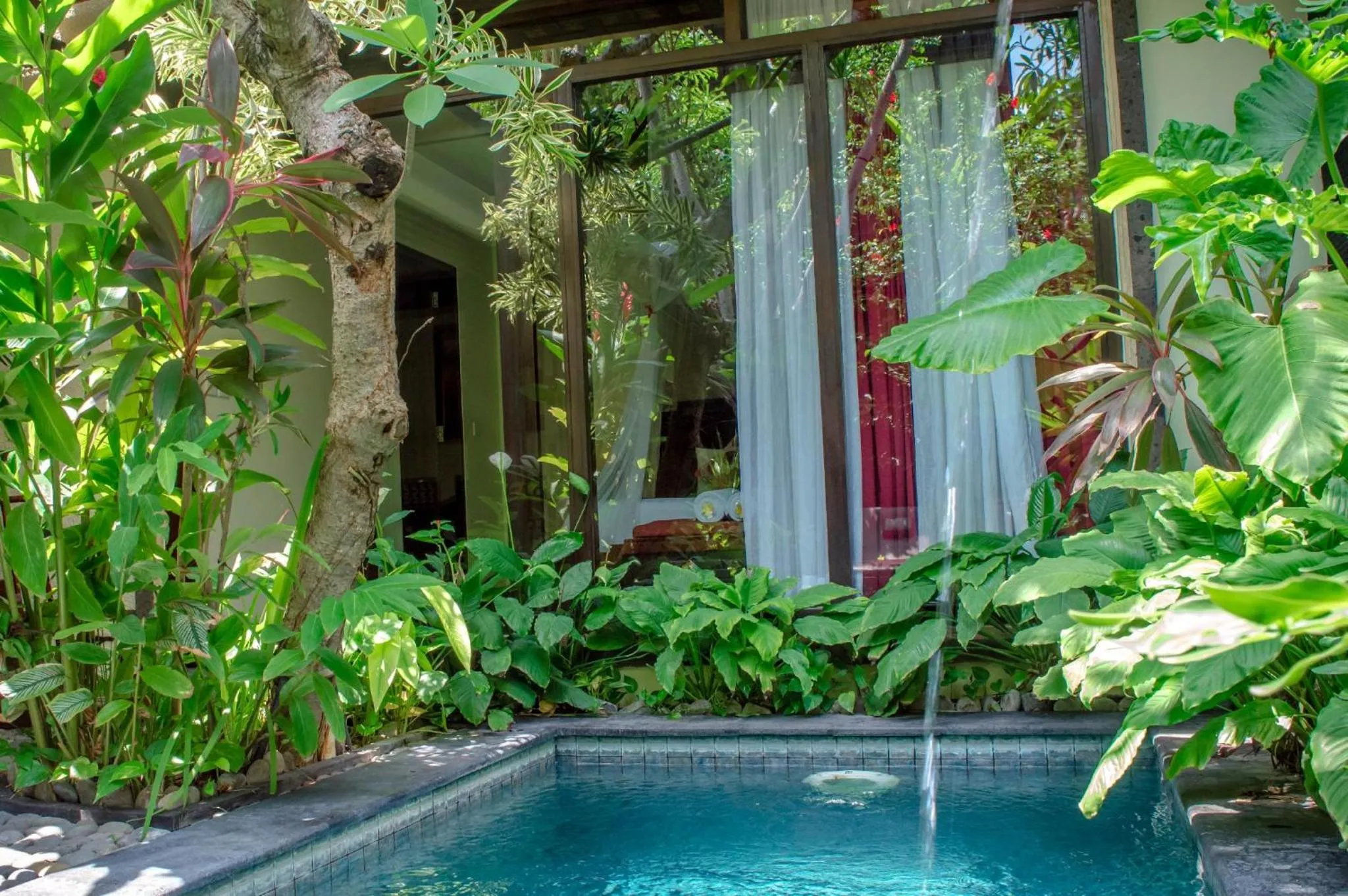 Garden in The Bali Dream Villa Seminyak