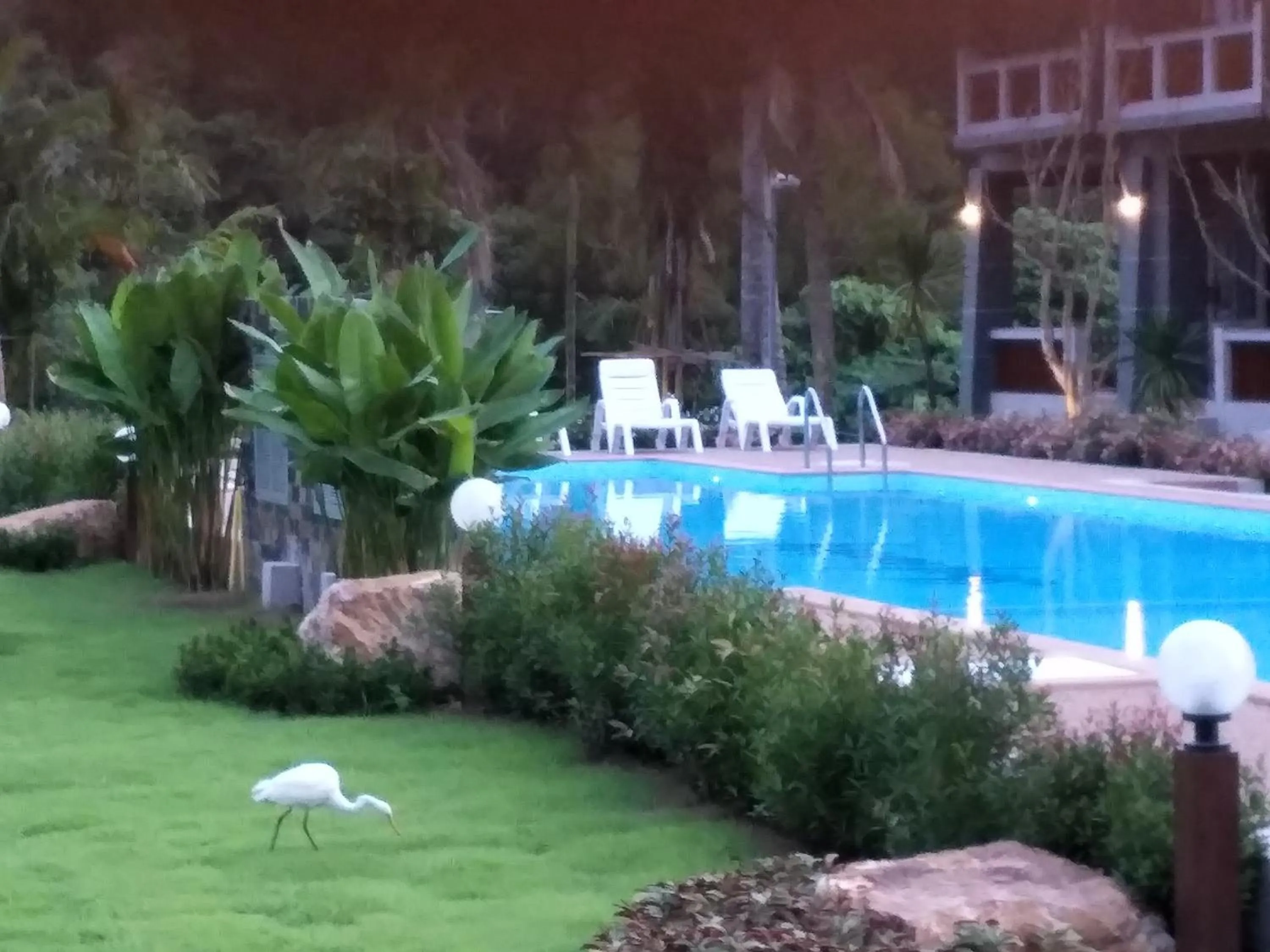 Swimming pool in Lanta Infinity Resort - SHA Extra Plus