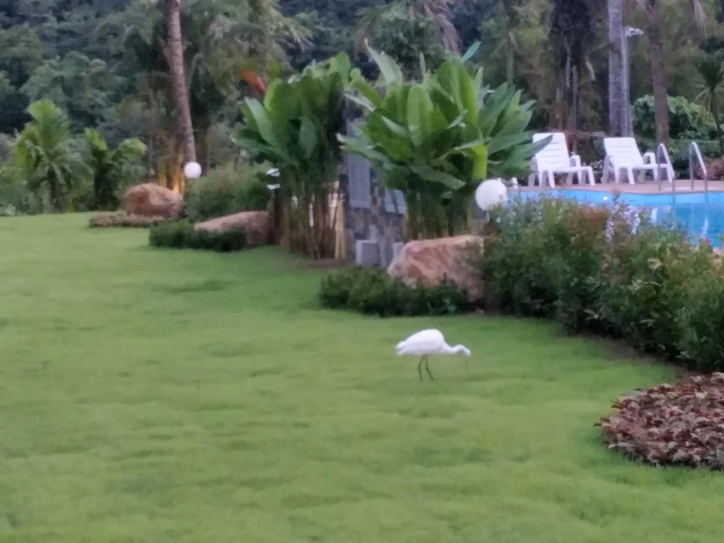 Garden in Lanta Infinity Resort - SHA Extra Plus