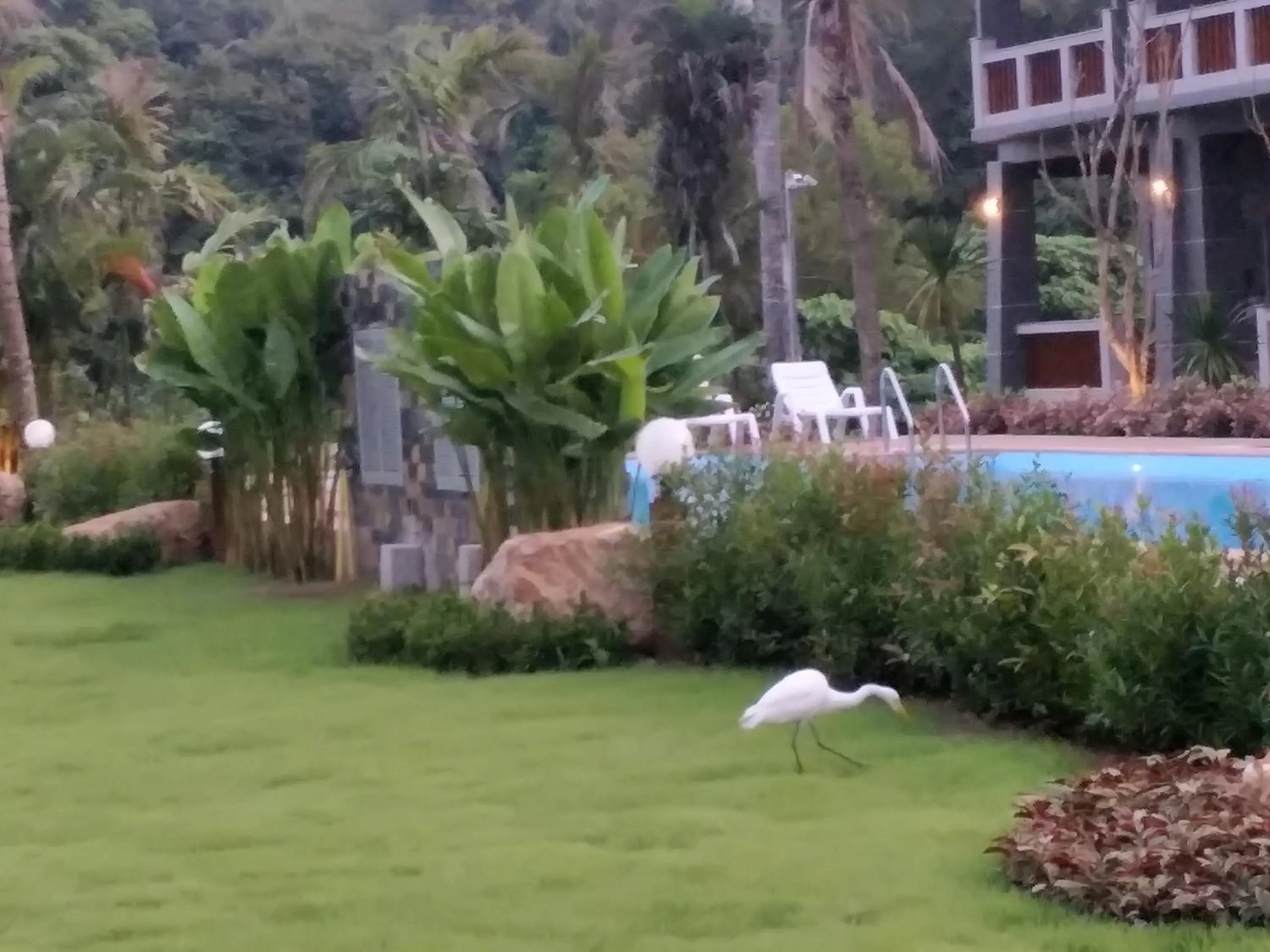 Garden in Lanta Infinity Resort - SHA Extra Plus