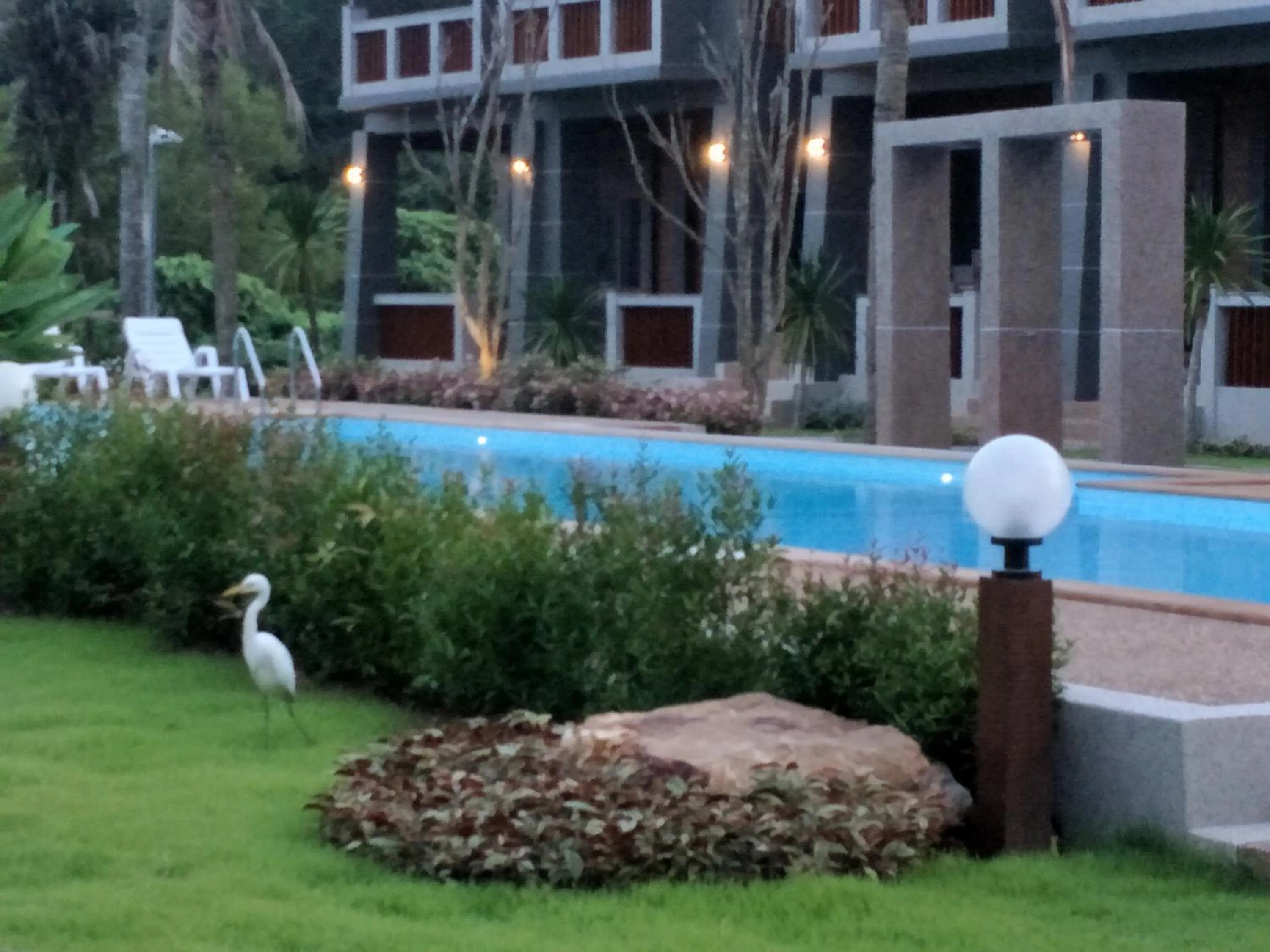 Animals in Lanta Infinity Resort - SHA Extra Plus