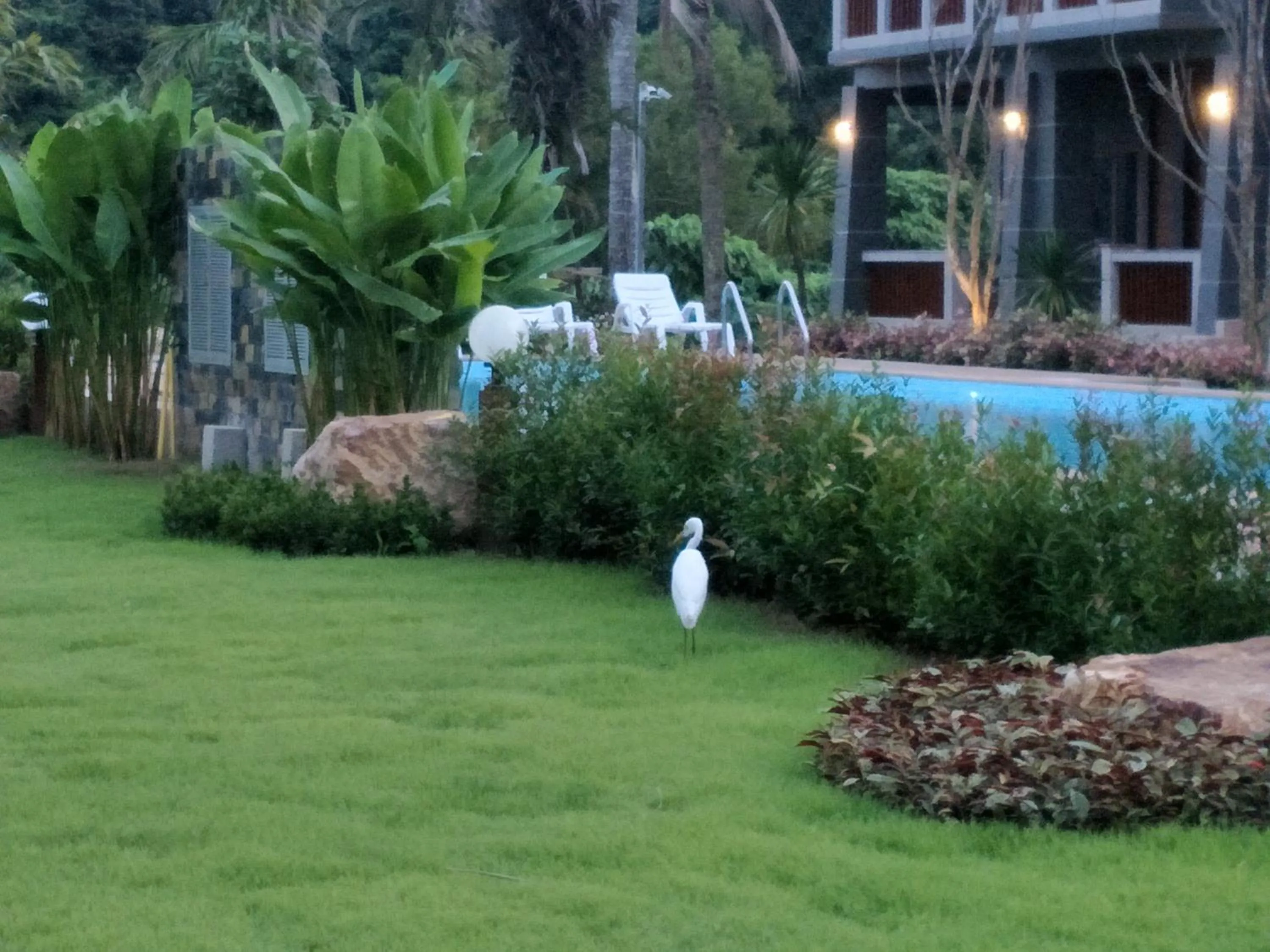 Garden in Lanta Infinity Resort - SHA Extra Plus