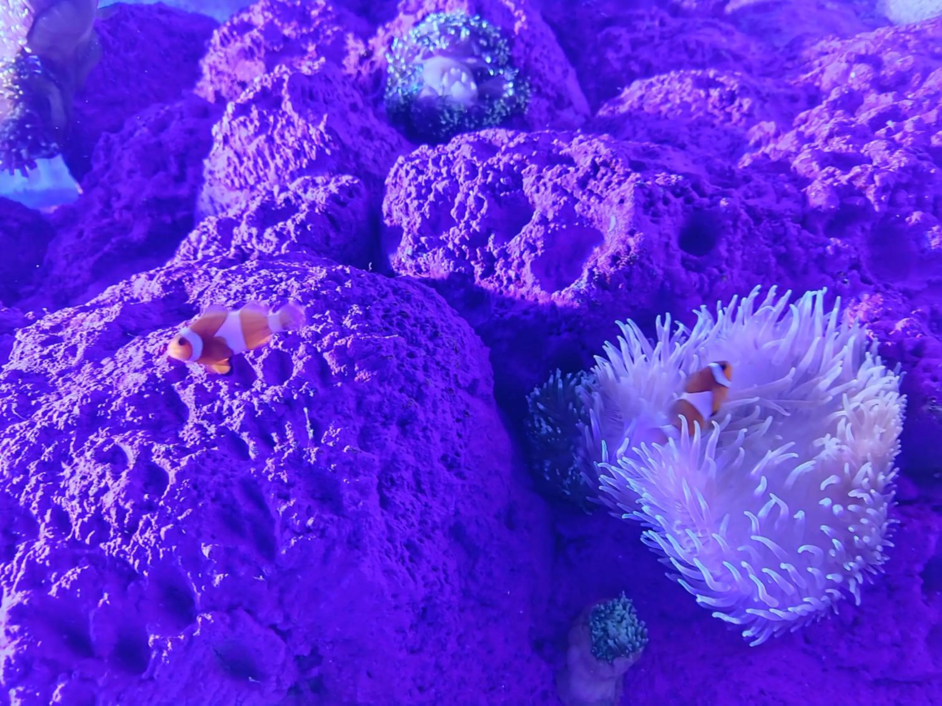 Activities in Dewantara Boutique Villa Resort Bali