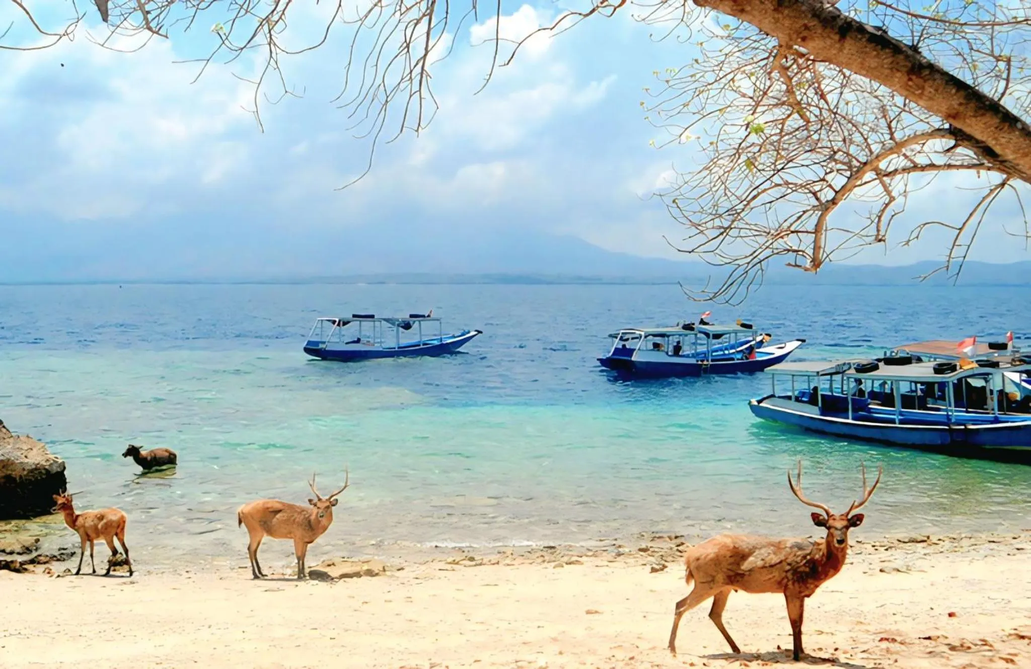 Activities in Dewantara Boutique Villa Resort Bali