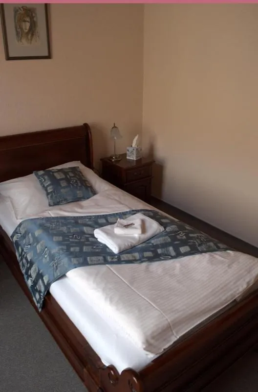 Photo of the whole room, Bed in Hotel na Kafkové