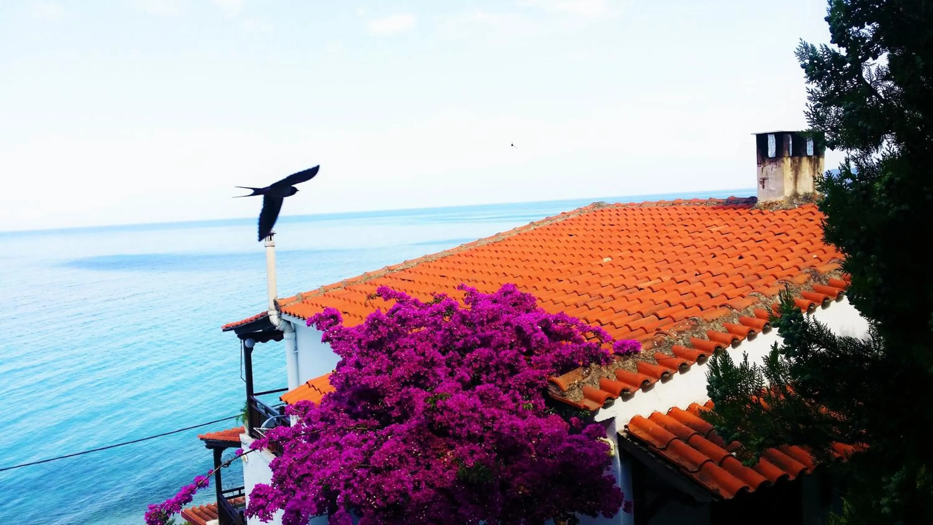 Sea view in Acrogiali Sunshine
