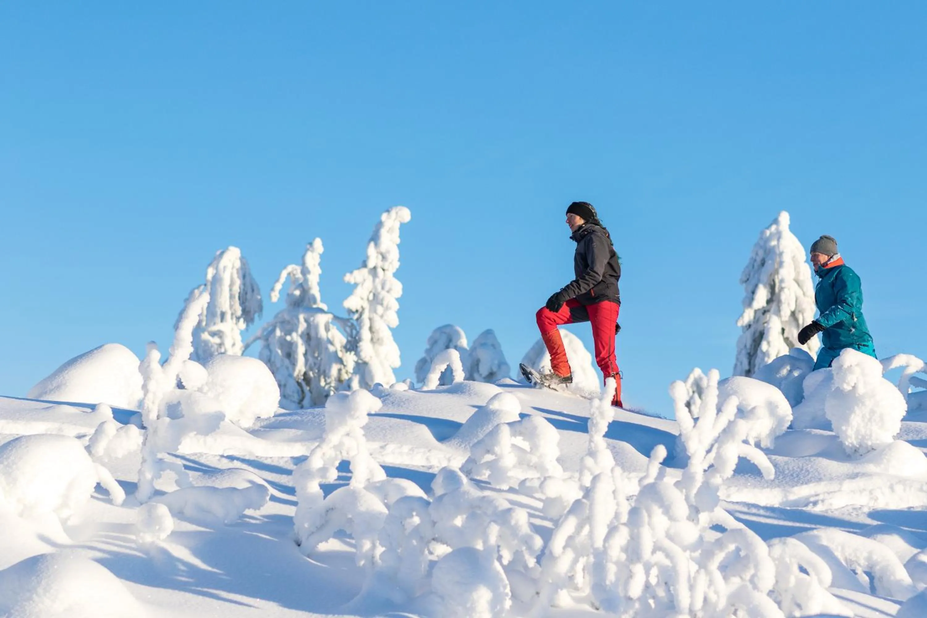 Activities in Tahko Spa Hotel
