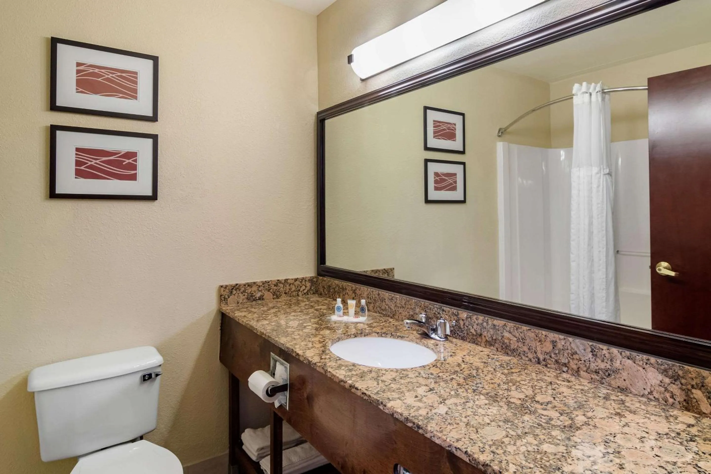 Bathroom in Comfort Inn & Suites Suwanee - Sugarloaf