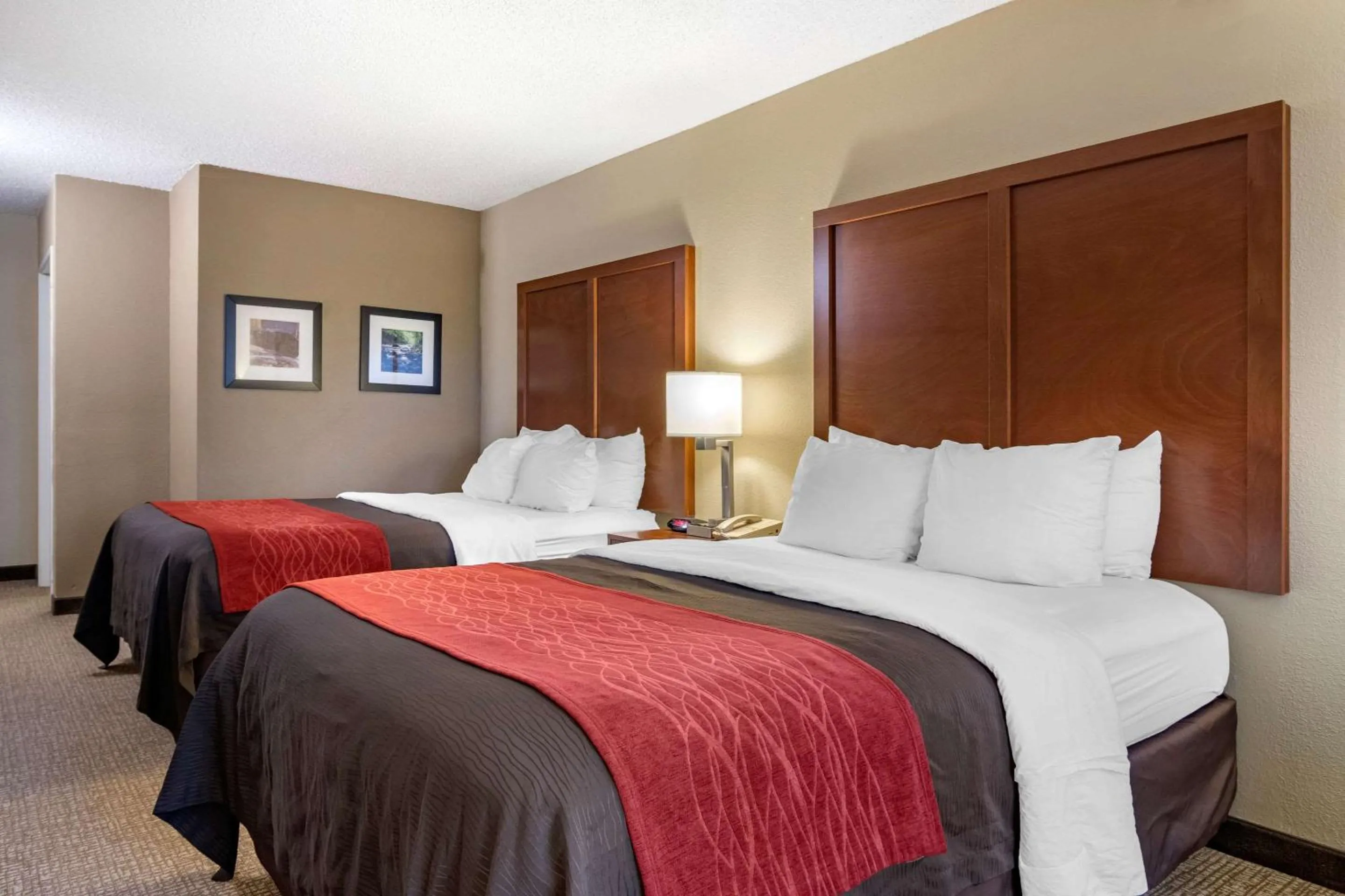 Photo of the whole room, Bed in Comfort Inn & Suites Suwanee - Sugarloaf