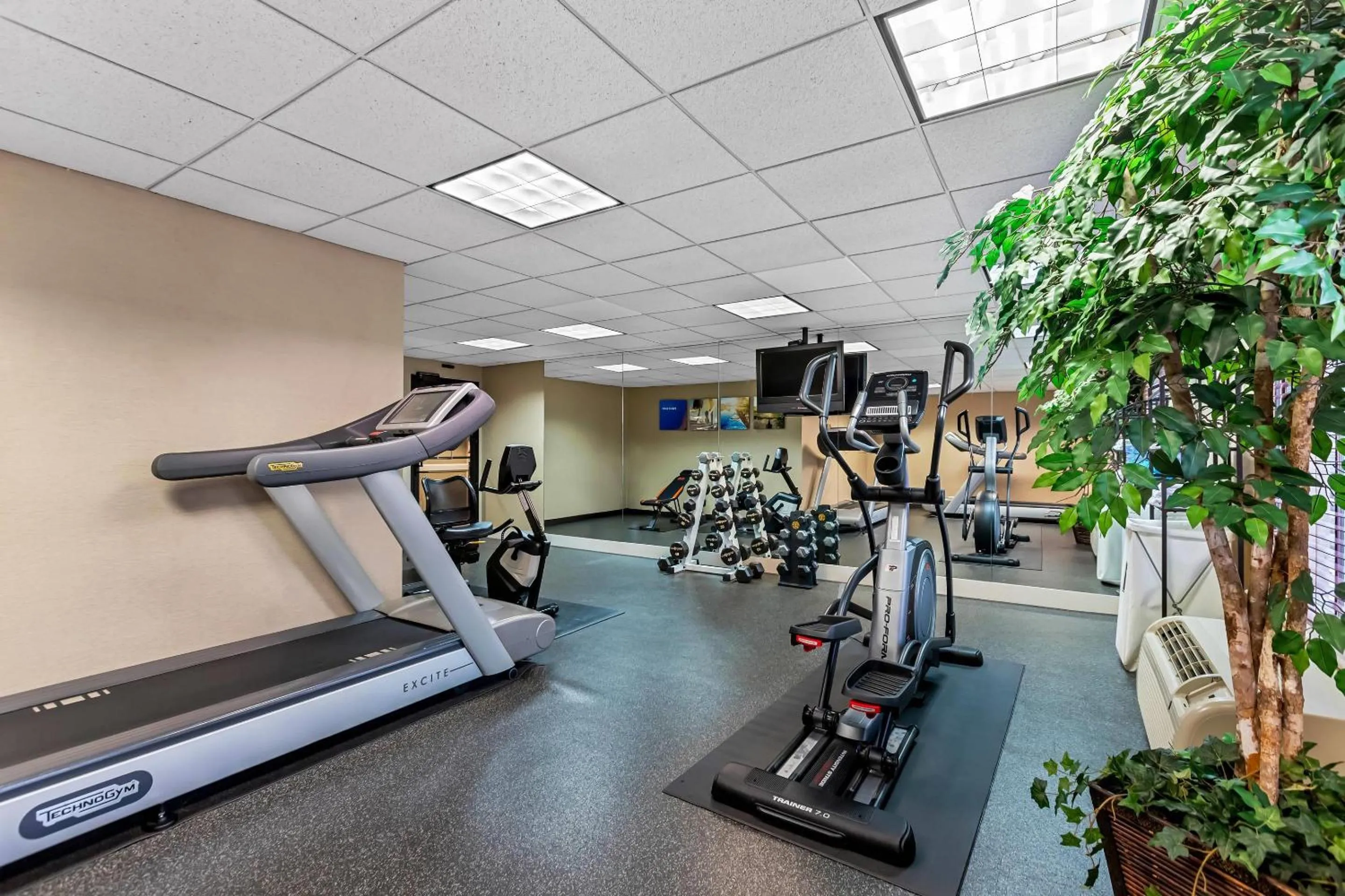Fitness centre/facilities in Comfort Inn & Suites Somerset - New Brunswick