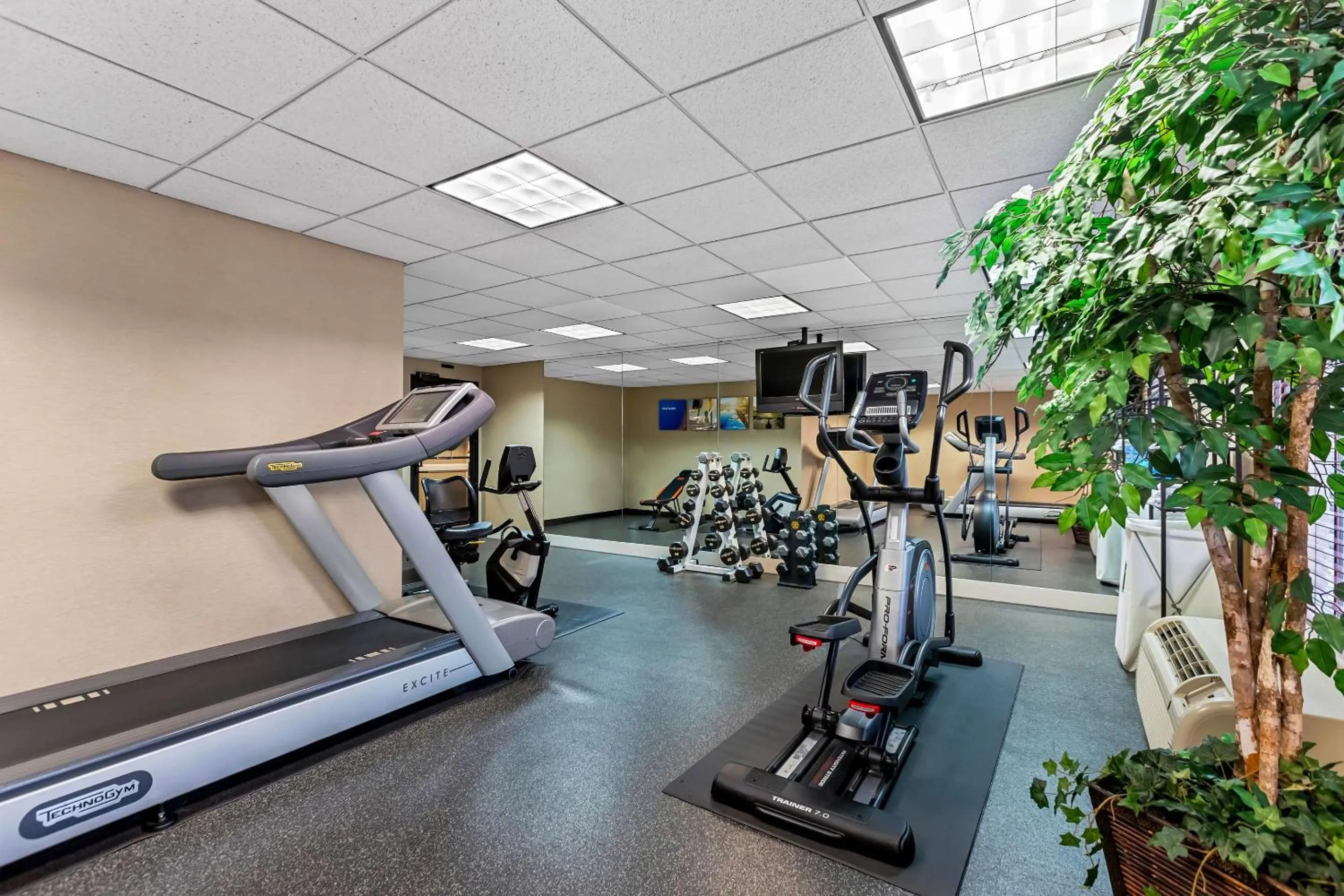 Fitness centre/facilities in Comfort Inn & Suites Somerset - New Brunswick