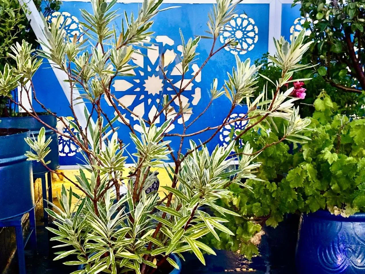 Property building in Riad EL Manantial,Dar Hajjaj,Patrimonio del SXIX