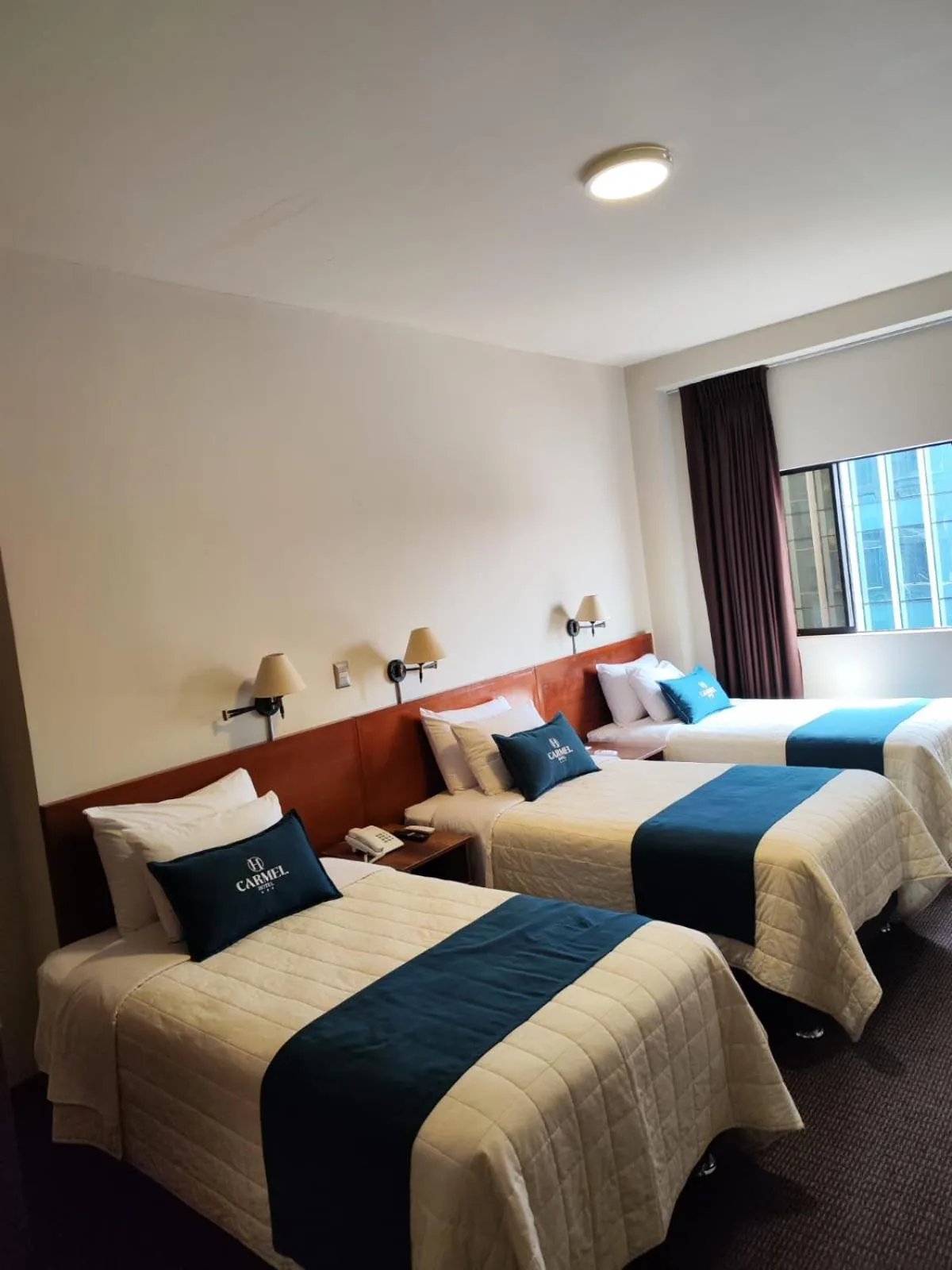 Photo of the whole room, Bed in Hotel Carmel