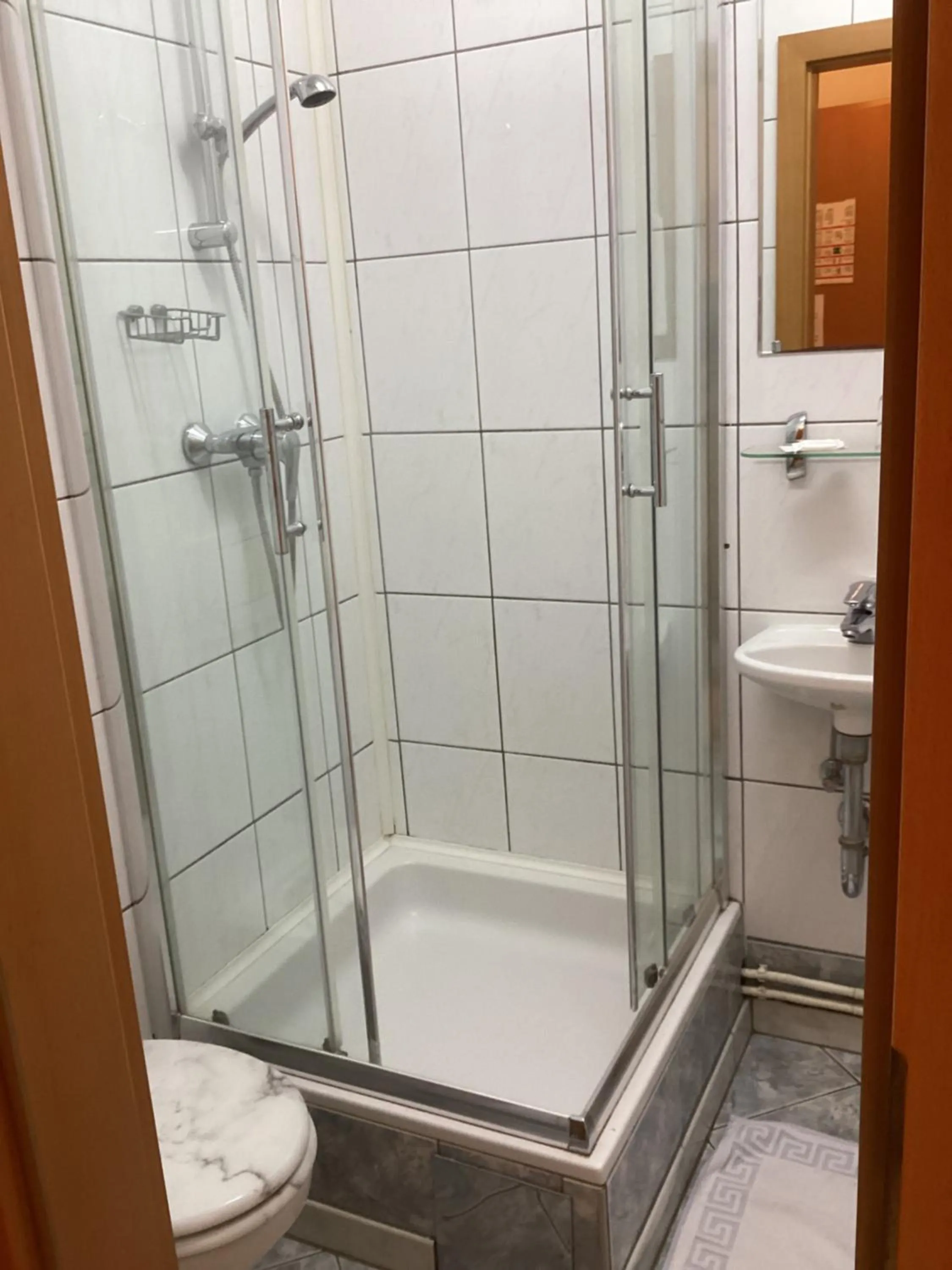 Shower in Hotel Pribitzer