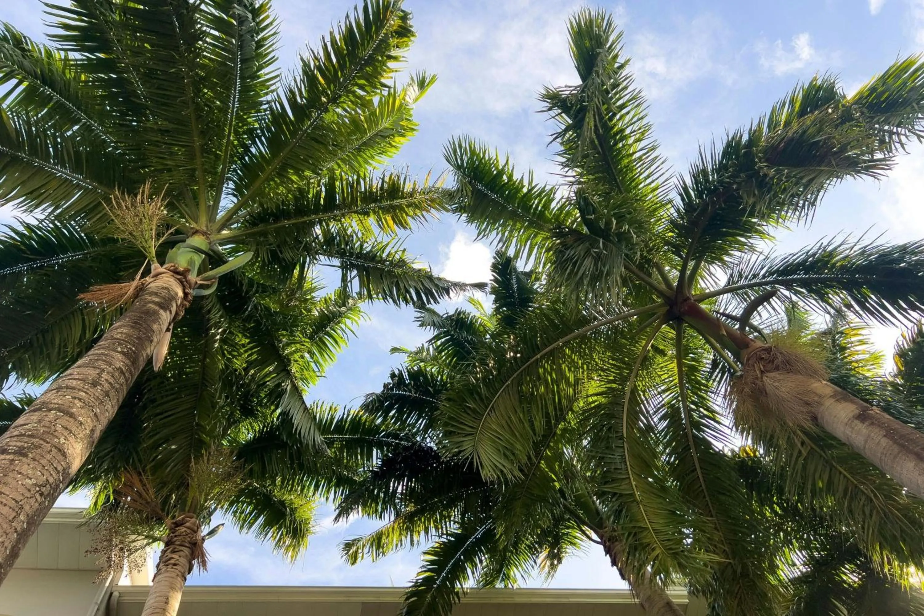 View (from property/room) in Courtyard by Marriott Port of Spain