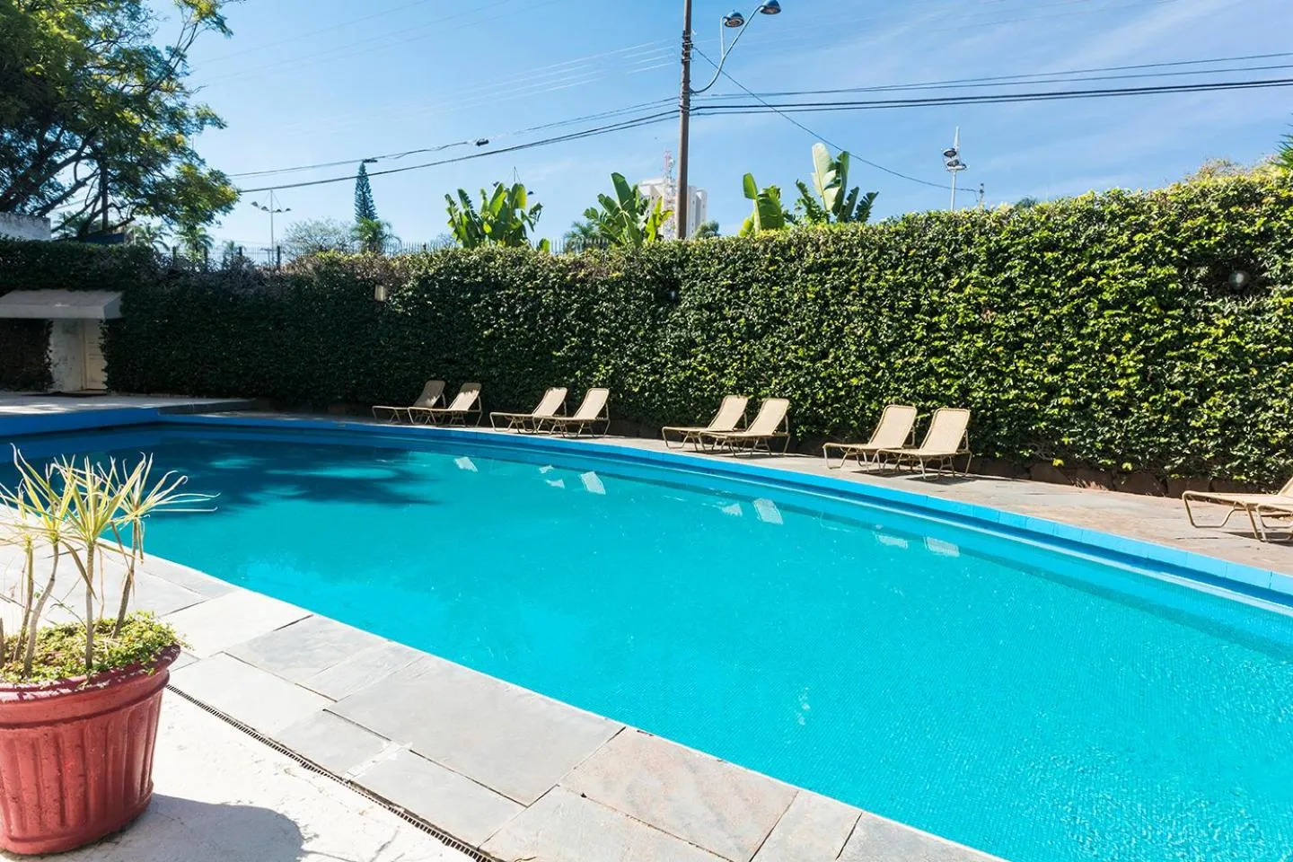 Swimming pool in Hotel Vila Rica Campinas