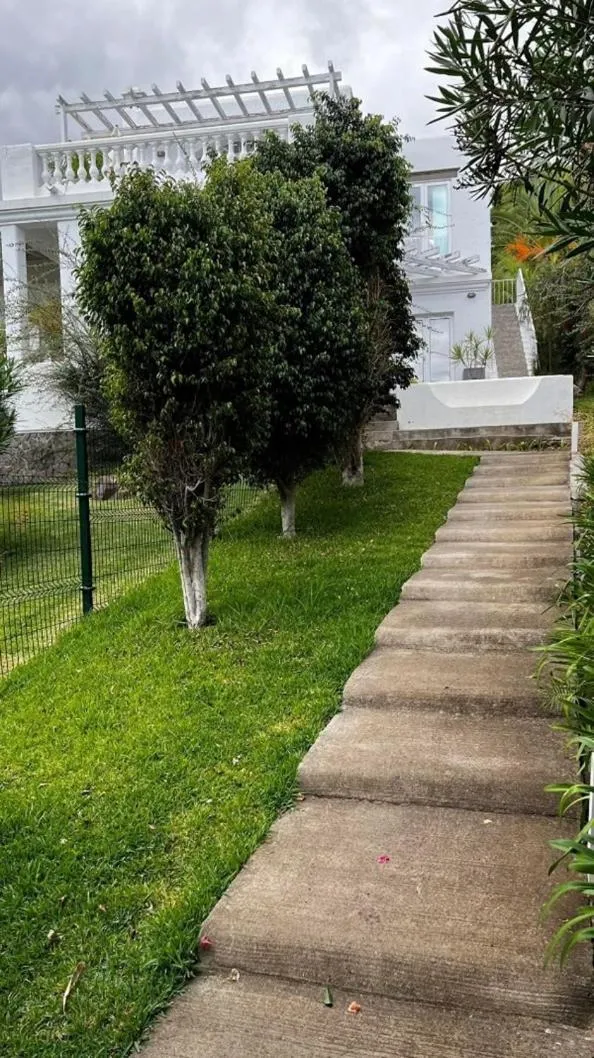 Facade/entrance in Inn & Art Madeira