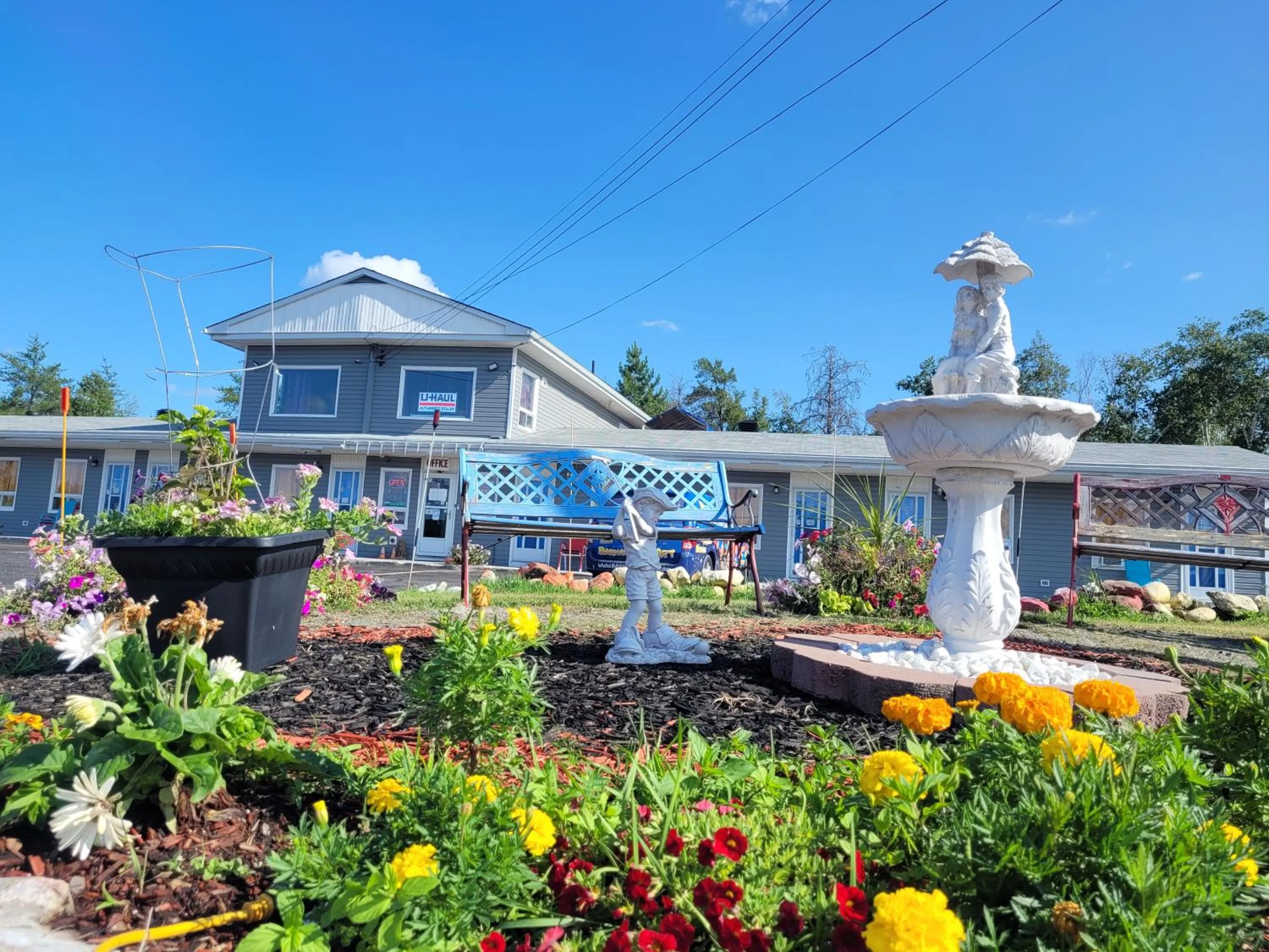 Garden in Norvic Motel